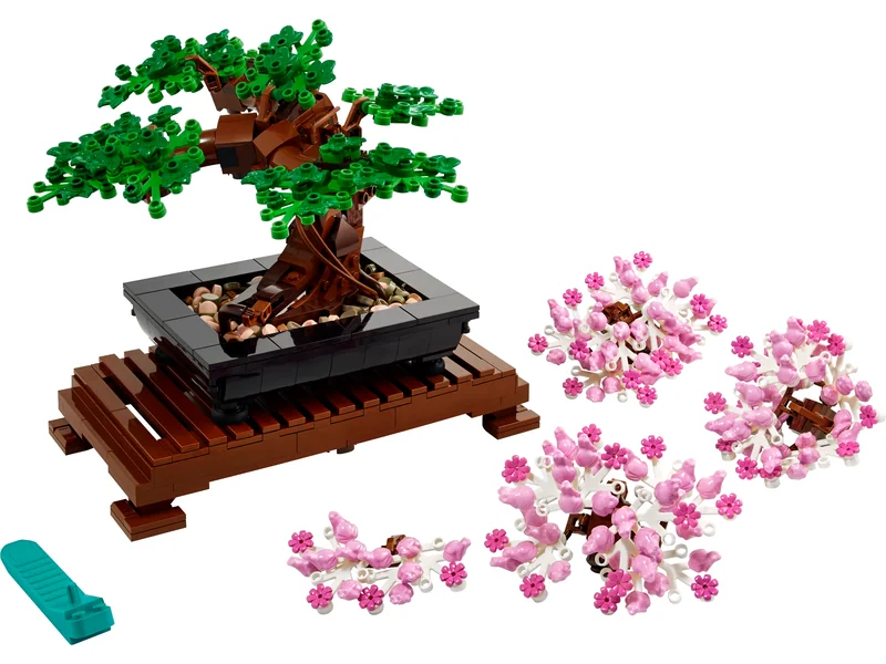 Bonsai Baum