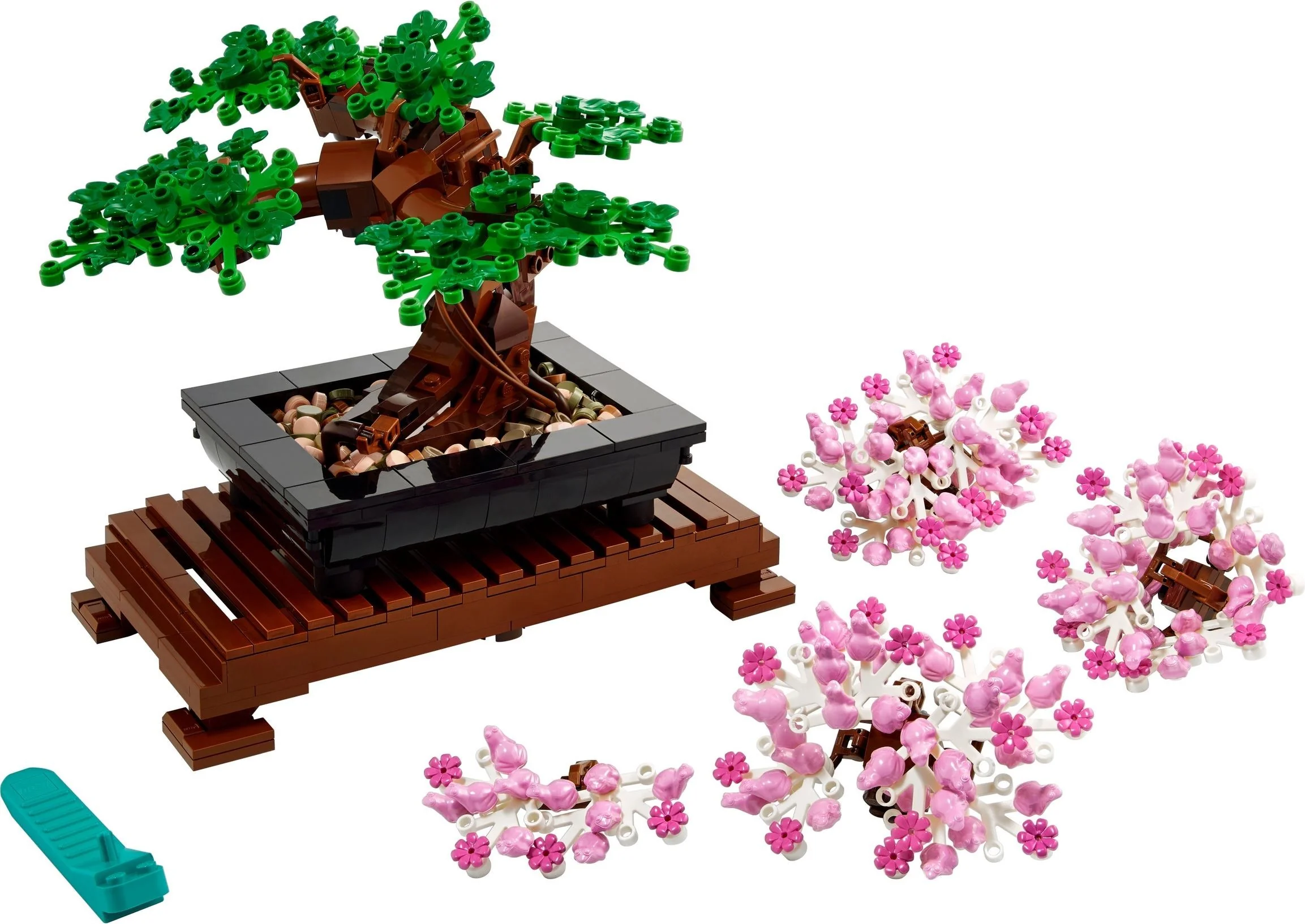 Bonsai Baum - Bild 1