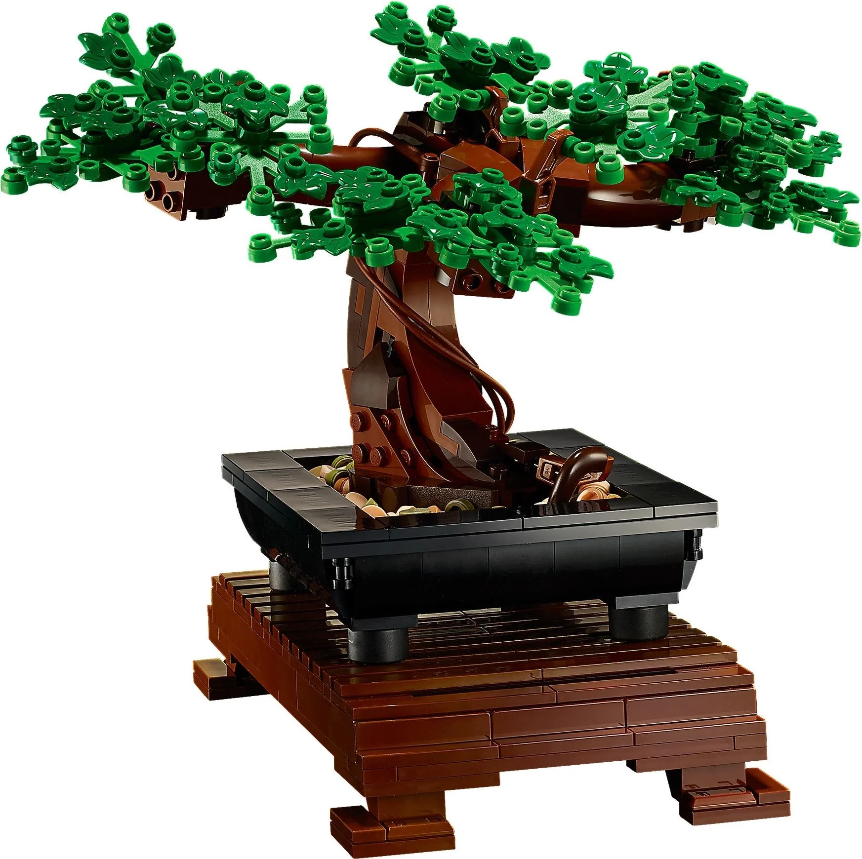 Bonsai Baum - Thumbnail 2