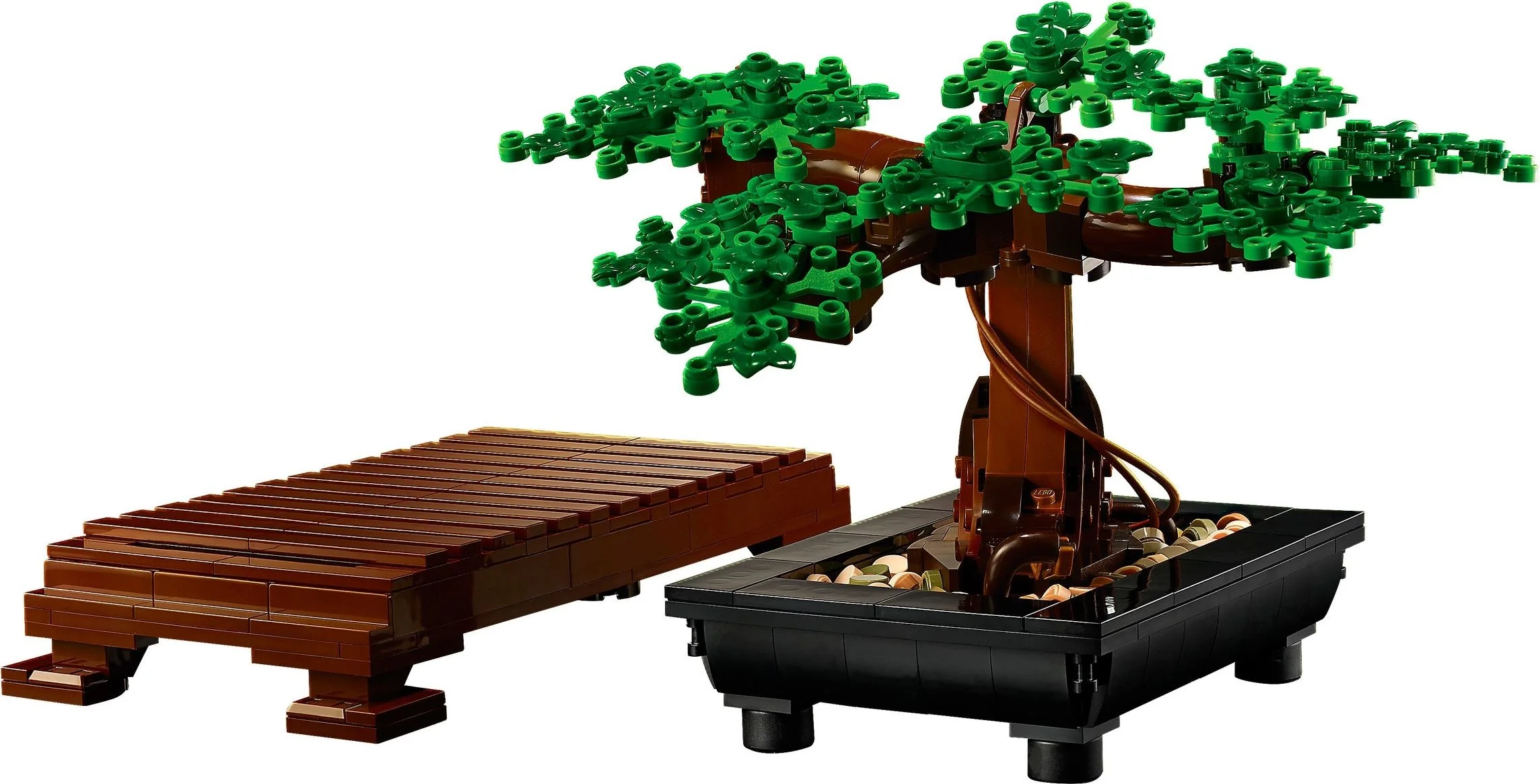 Bonsai Baum - Thumbnail 3