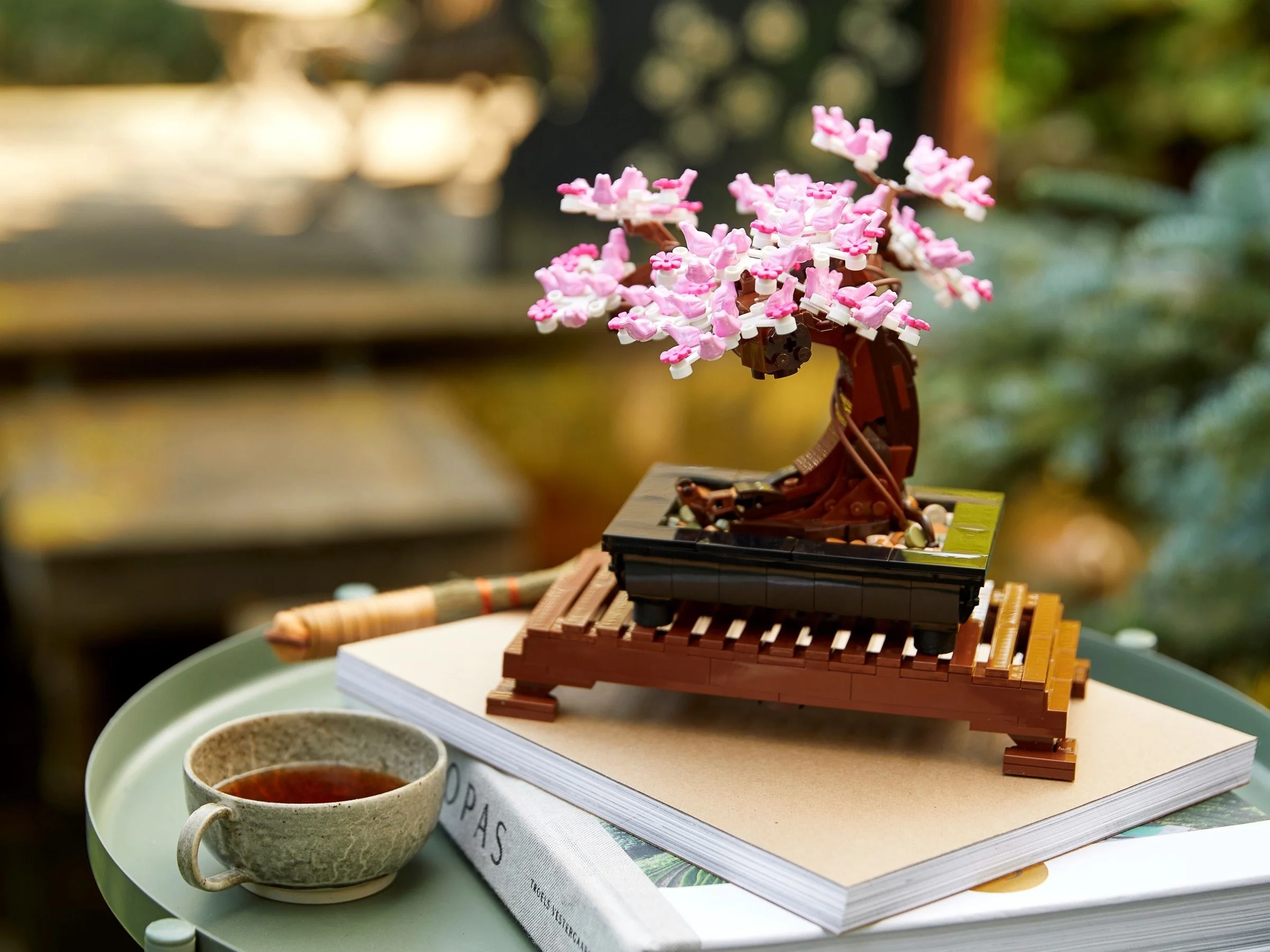 Bonsai Baum - Thumbnail 5