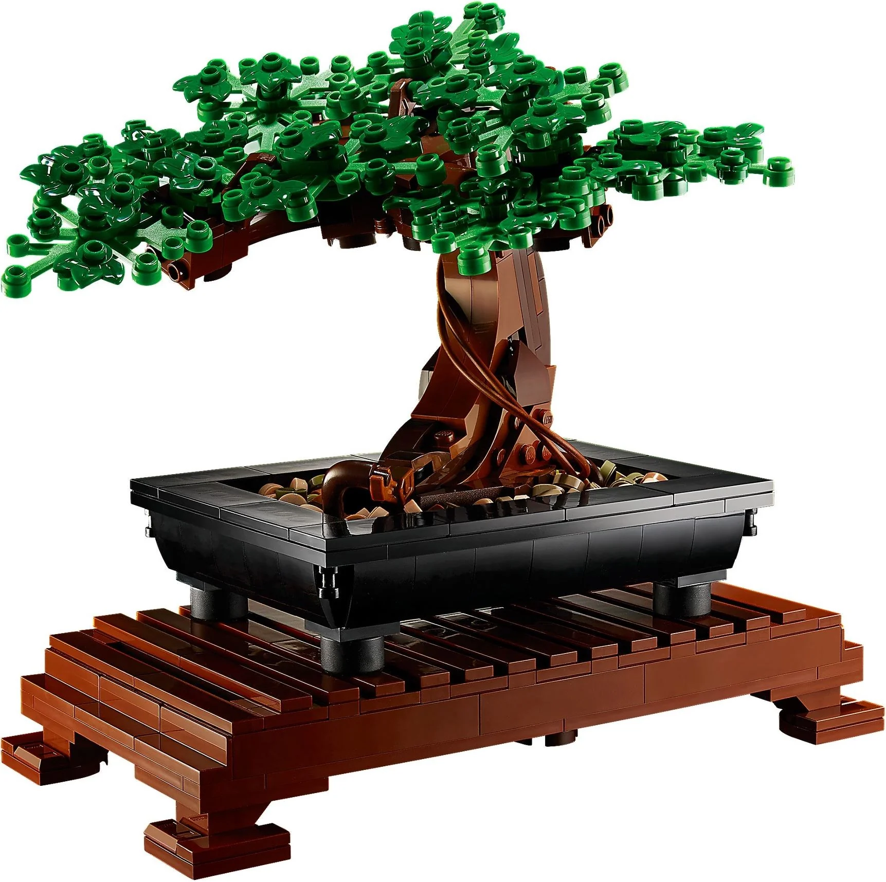 Bonsai Baum - Thumbnail 7