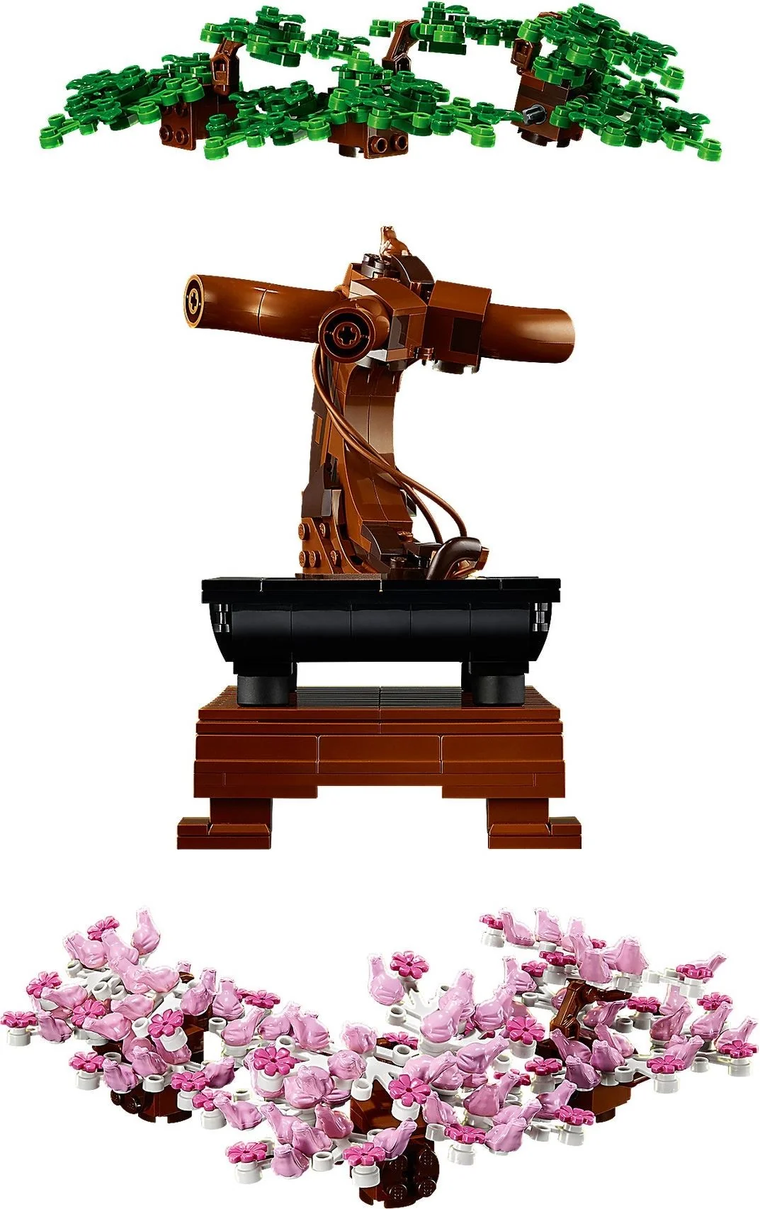 Bonsai Baum - Thumbnail 9