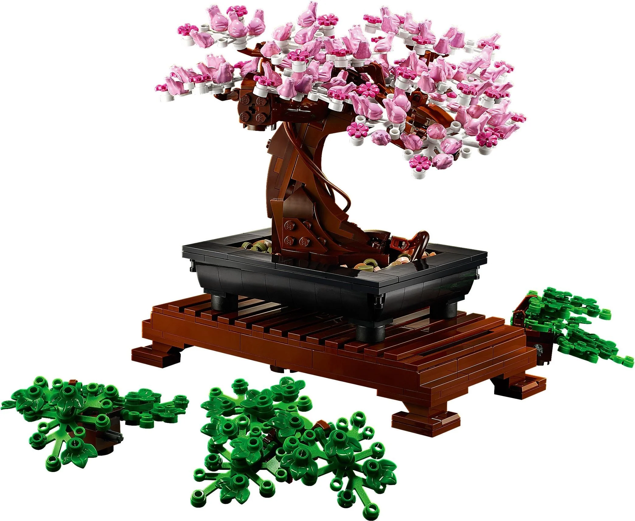 Bonsai Baum - Thumbnail 13