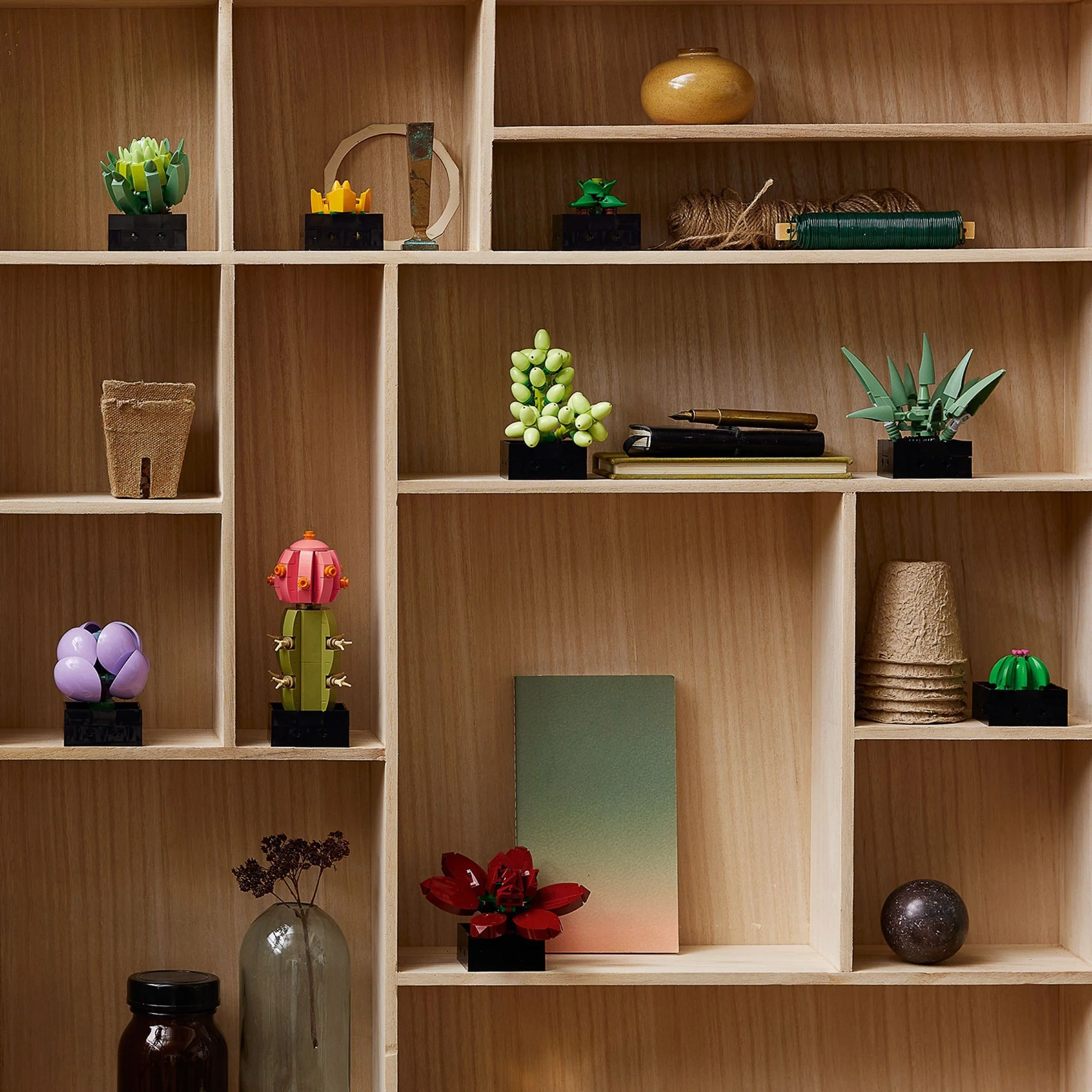 Sukkulenten - Thumbnail 6