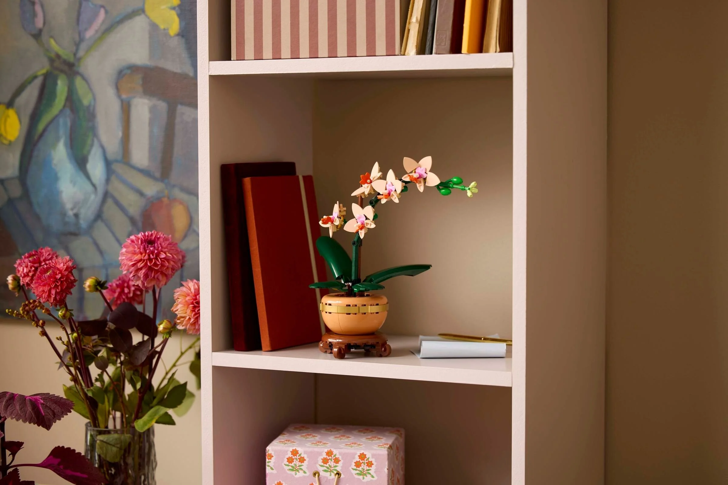 Mini-Orchidee - Thumbnail 8