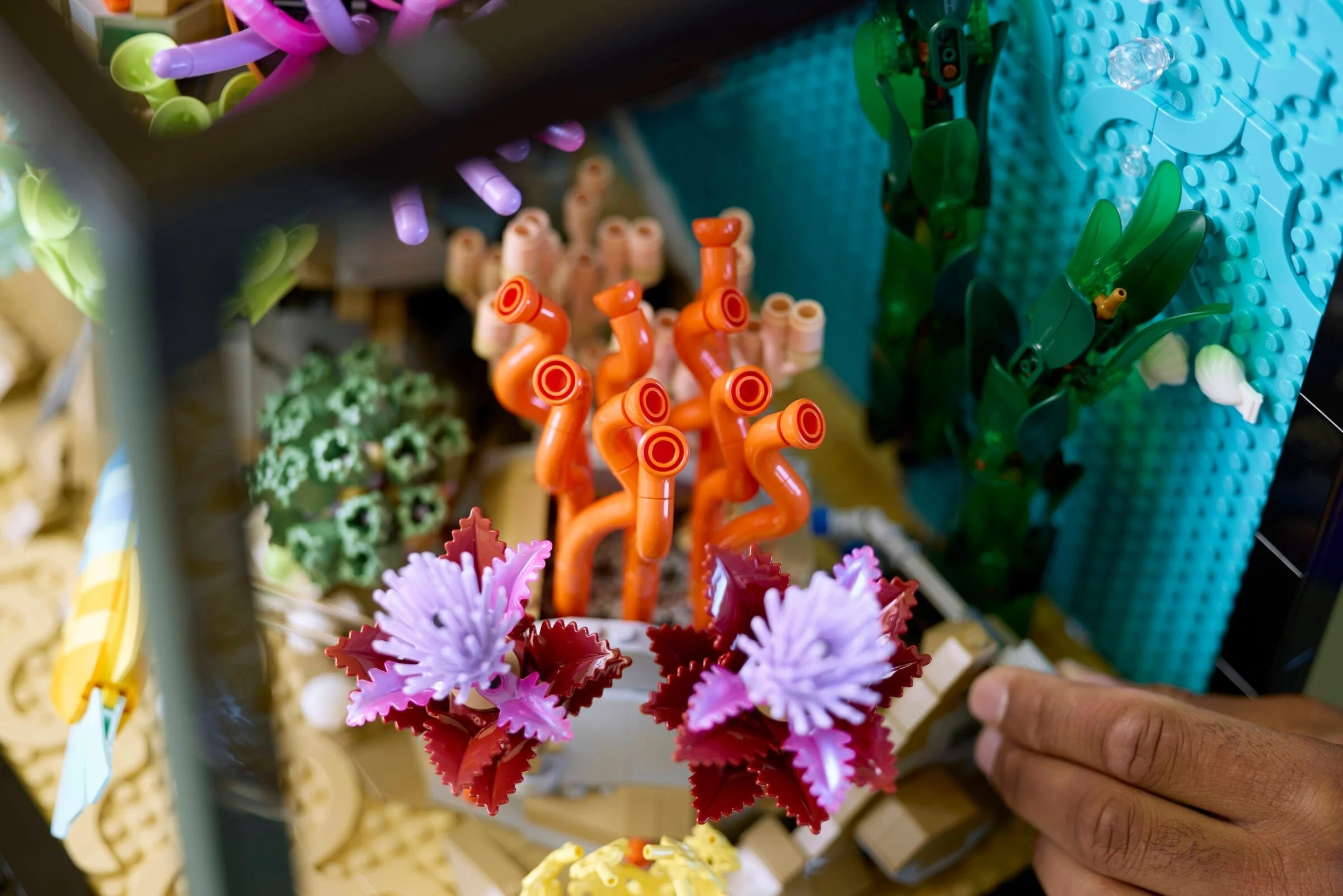 Tropisches Aquarium - Thumbnail 15