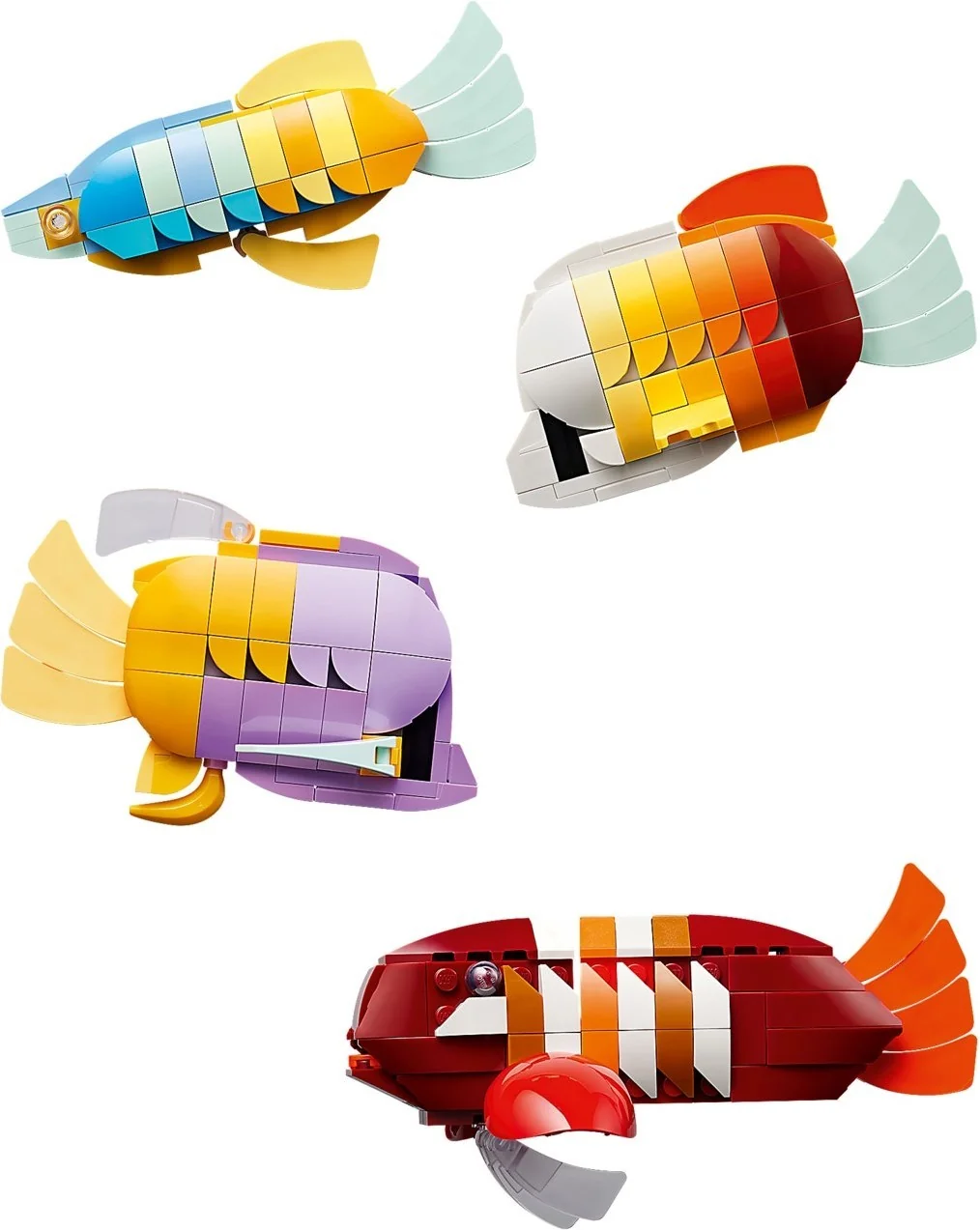 Tropisches Aquarium - Thumbnail 18