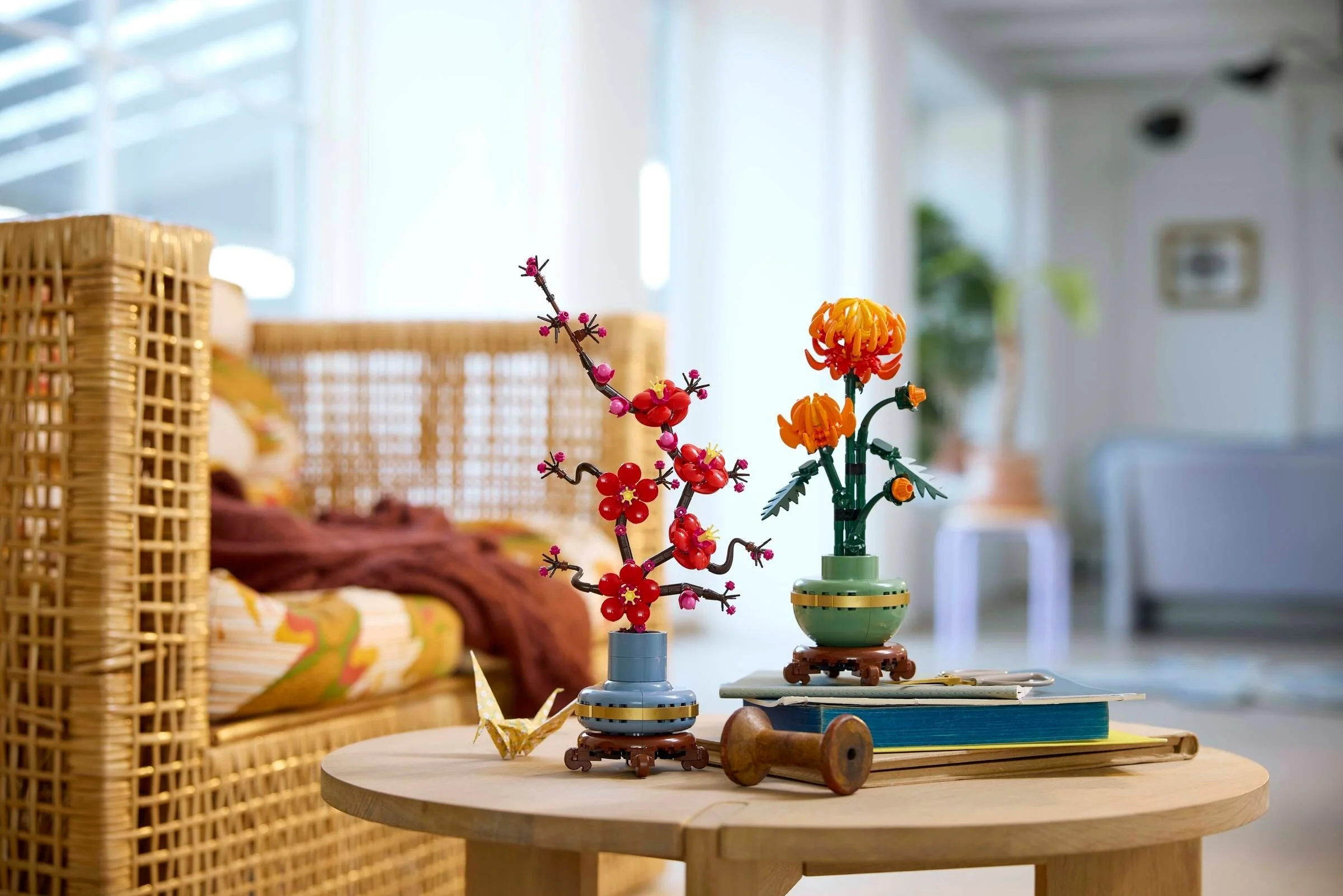 Chrysantheme - Thumbnail 2