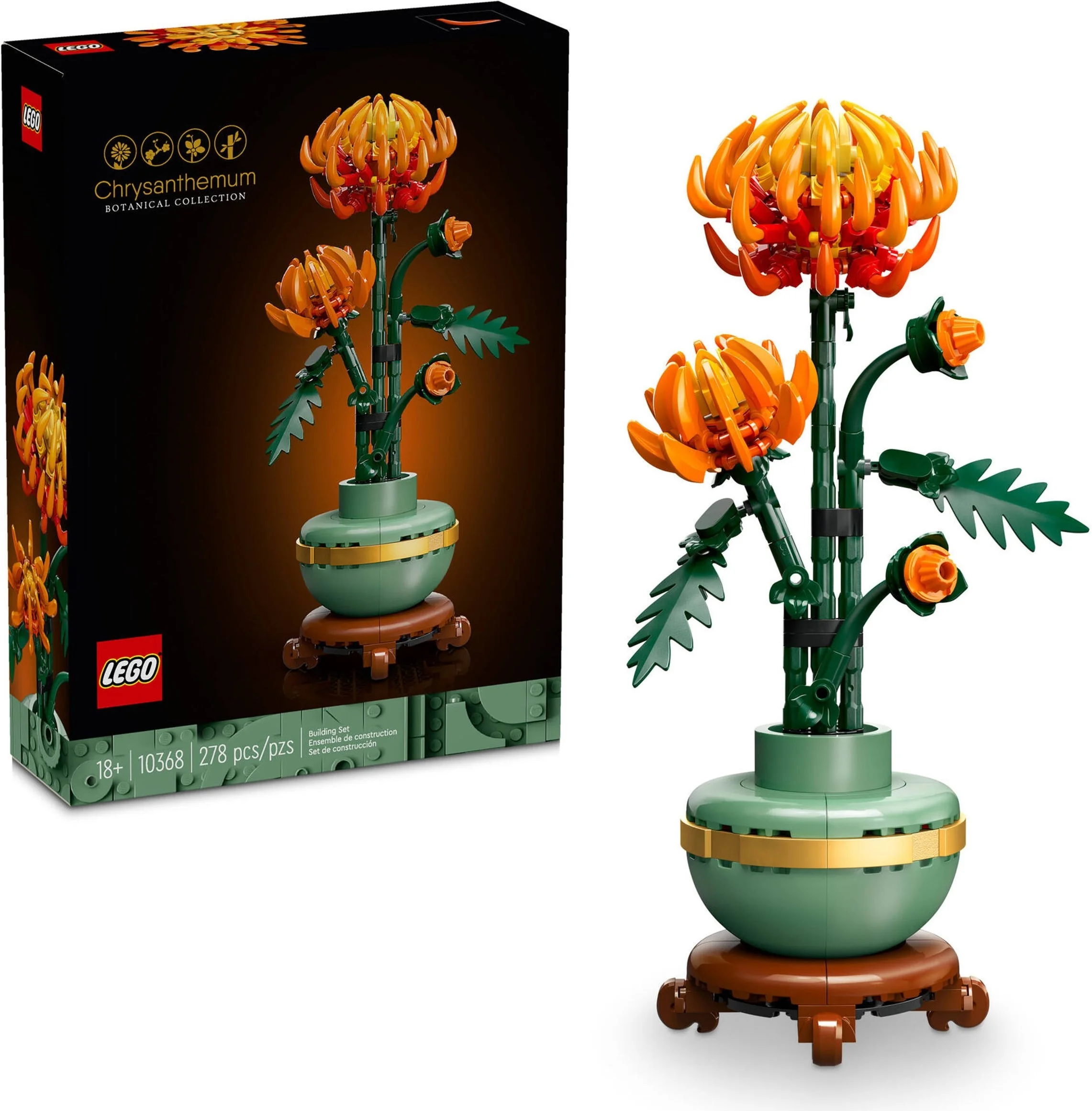Chrysantheme - Thumbnail 4