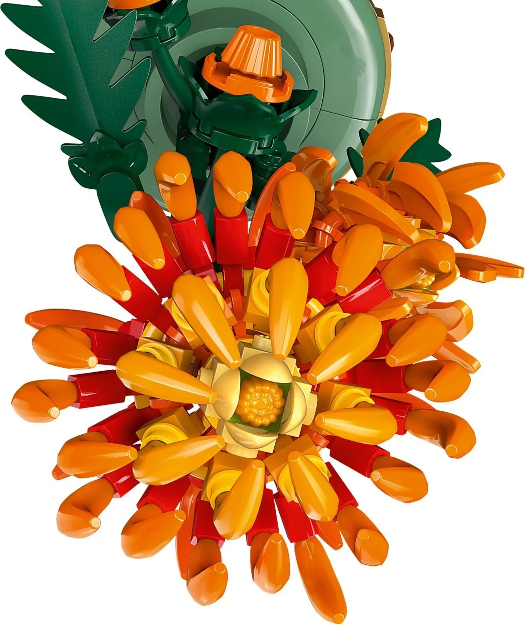 Chrysantheme - Thumbnail 6