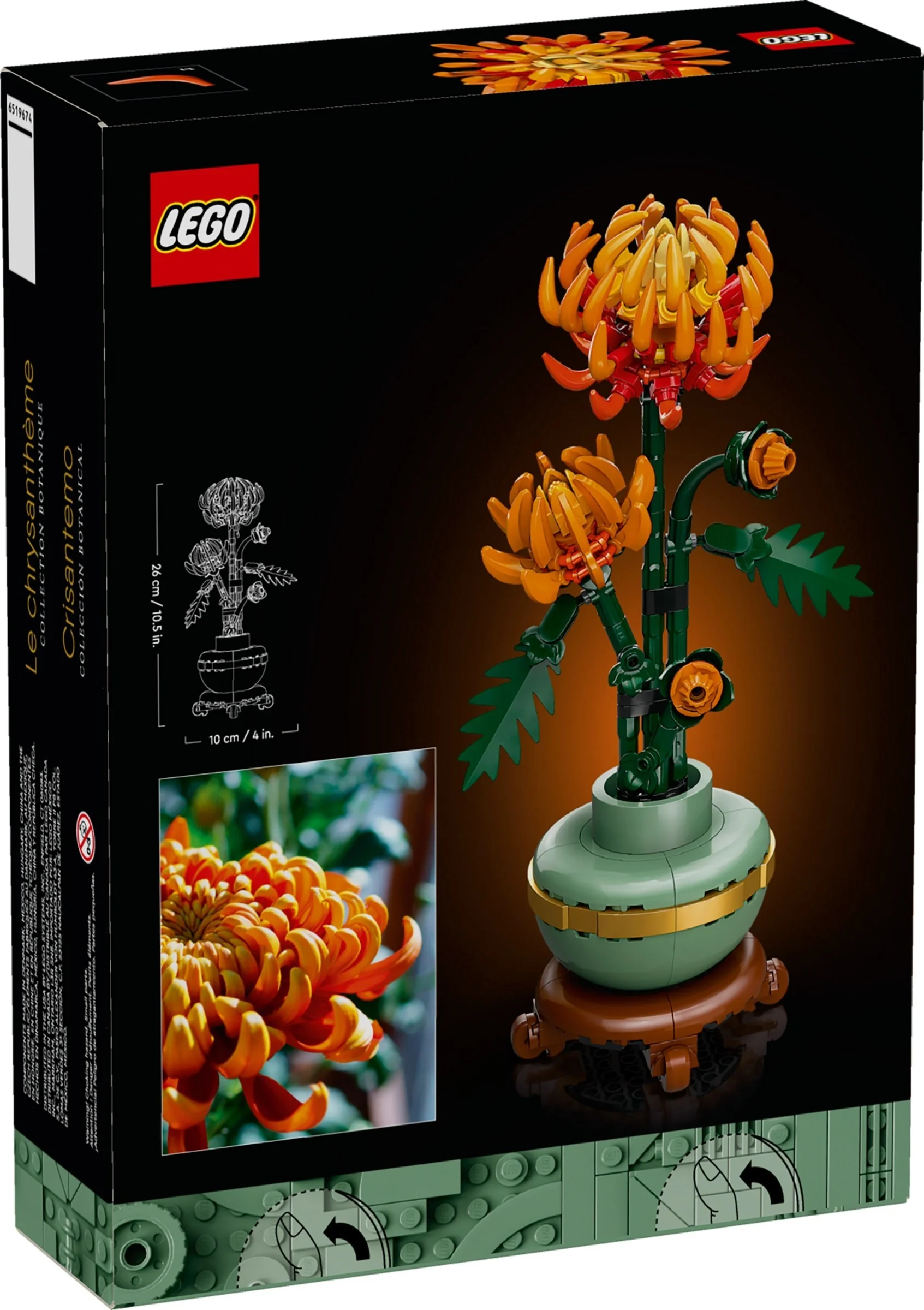 Chrysantheme - Thumbnail 7