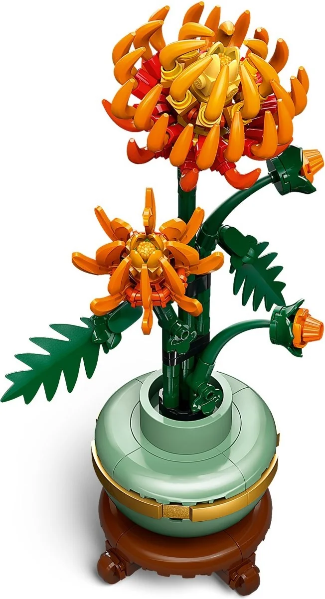 Chrysantheme - Thumbnail 9