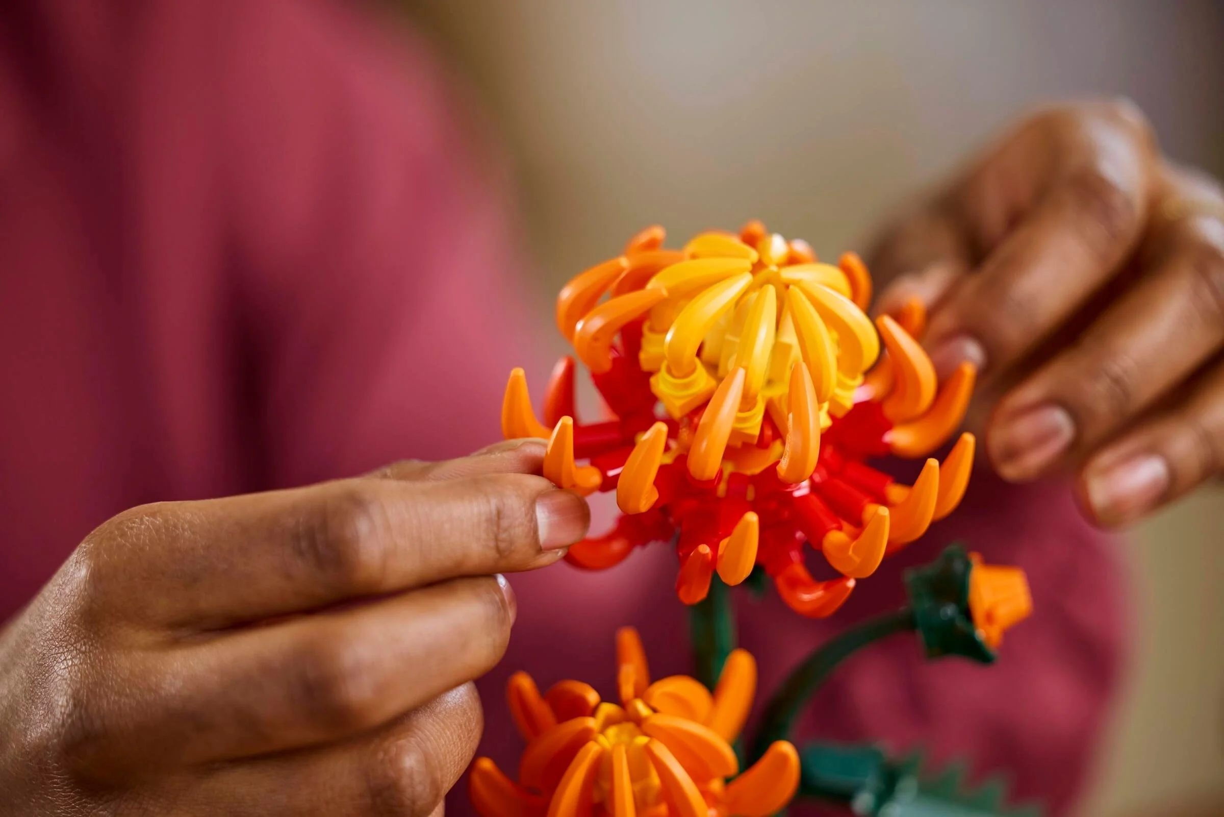 Chrysantheme - Thumbnail 10