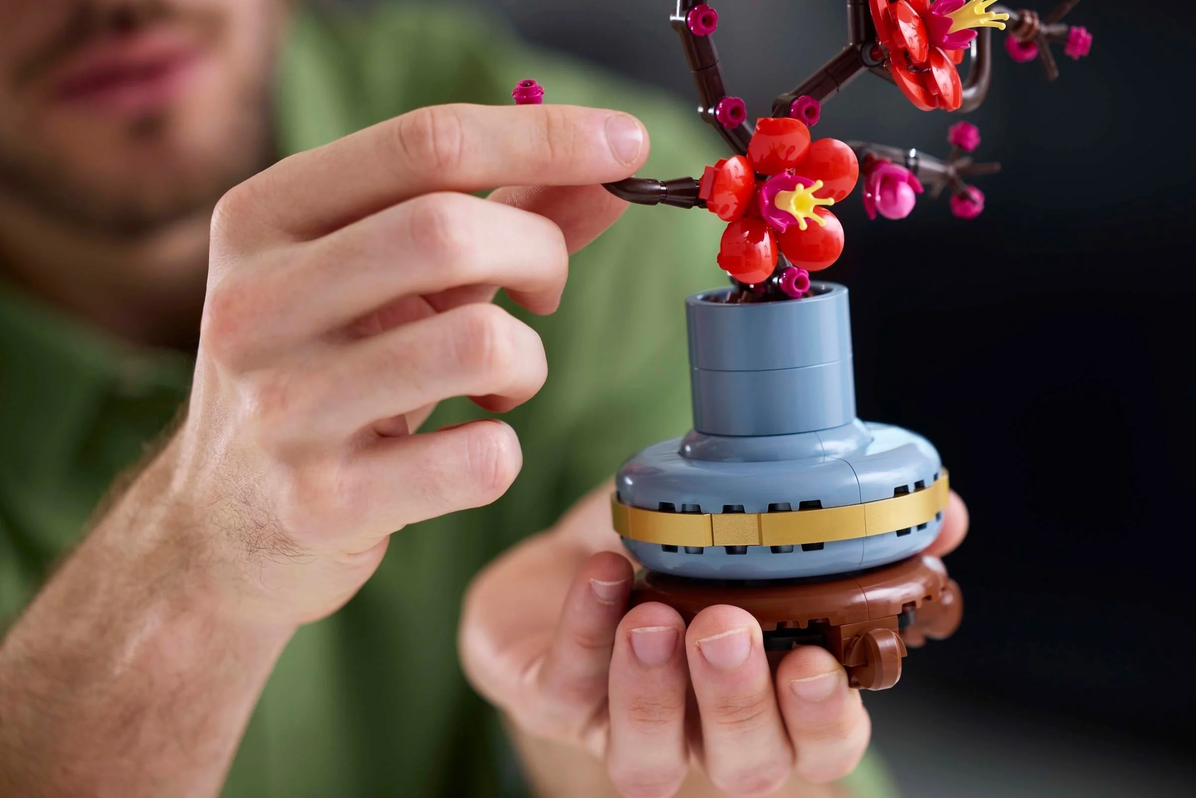 Pflaumenblüte - Thumbnail 4