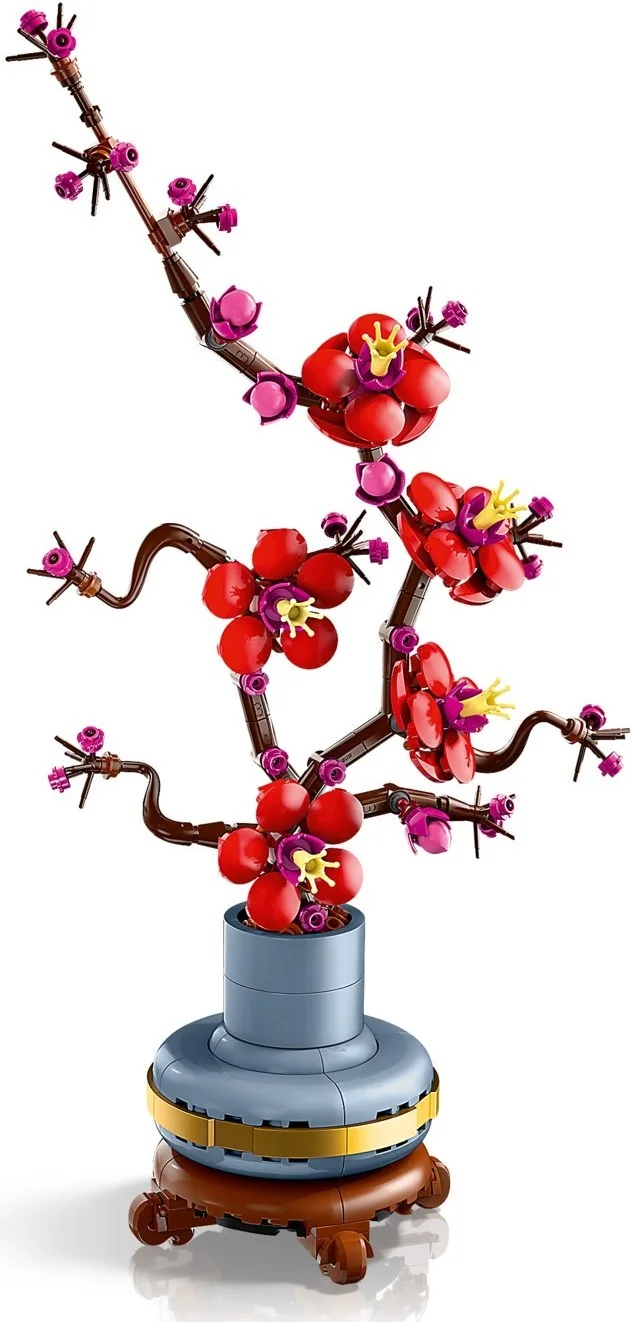 Pflaumenblüte - Thumbnail 7