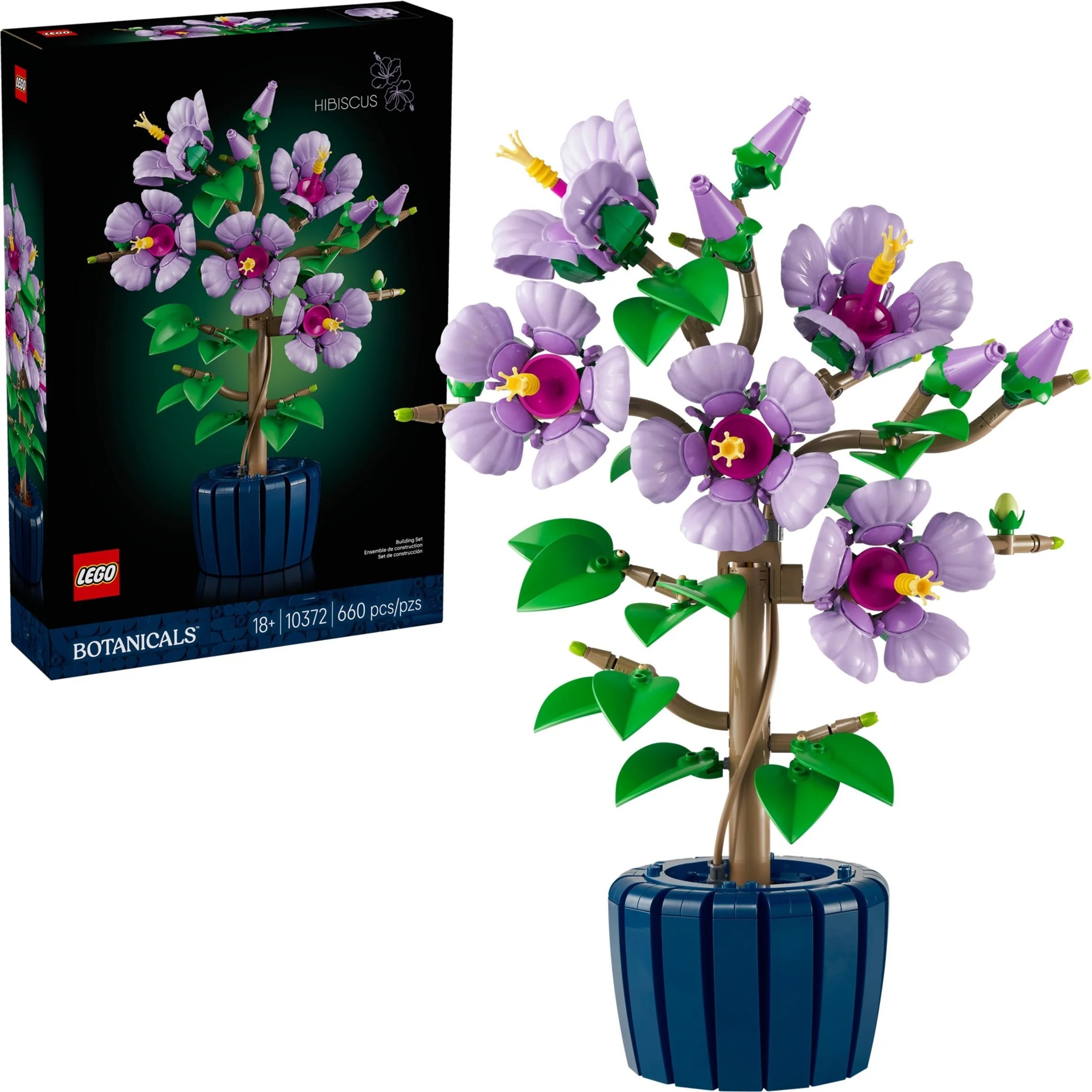 Hibiskus - Thumbnail 3