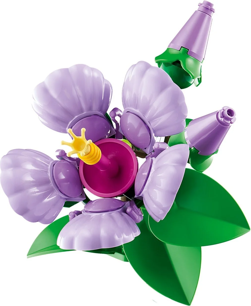 Hibiskus - Thumbnail 6