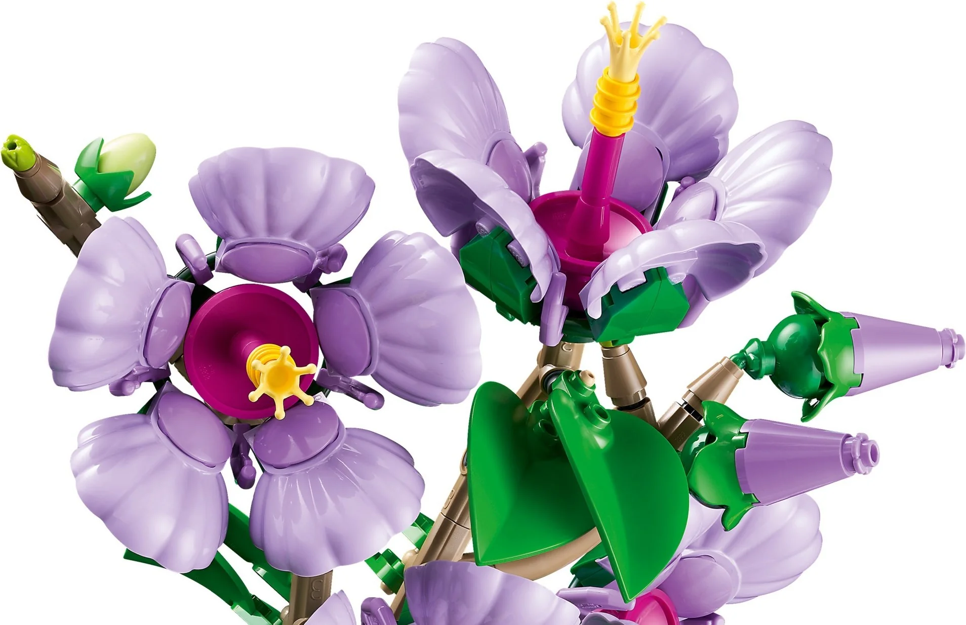 Hibiskus - Thumbnail 9