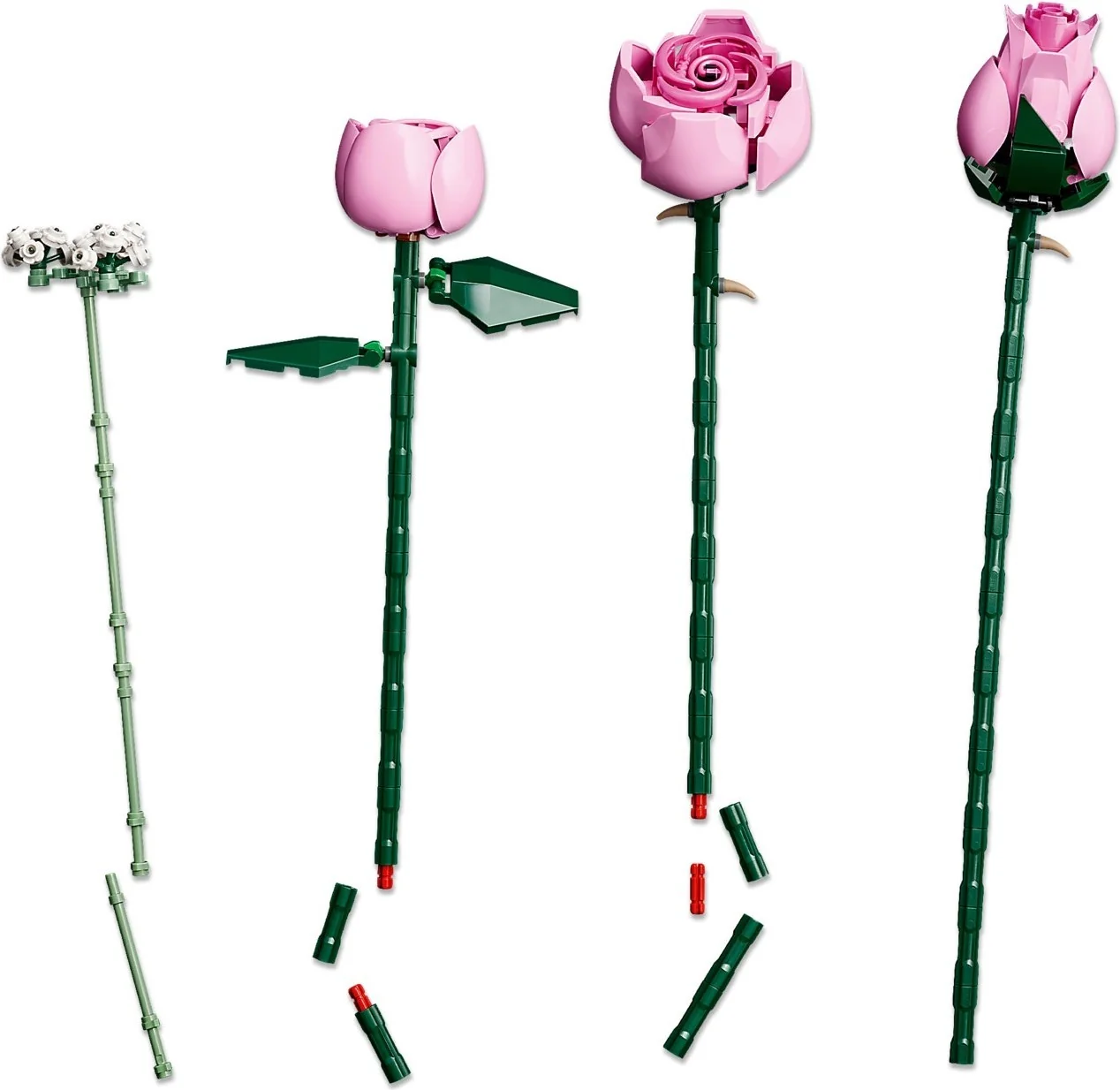 Rosa Rosenstrauß - Thumbnail 15