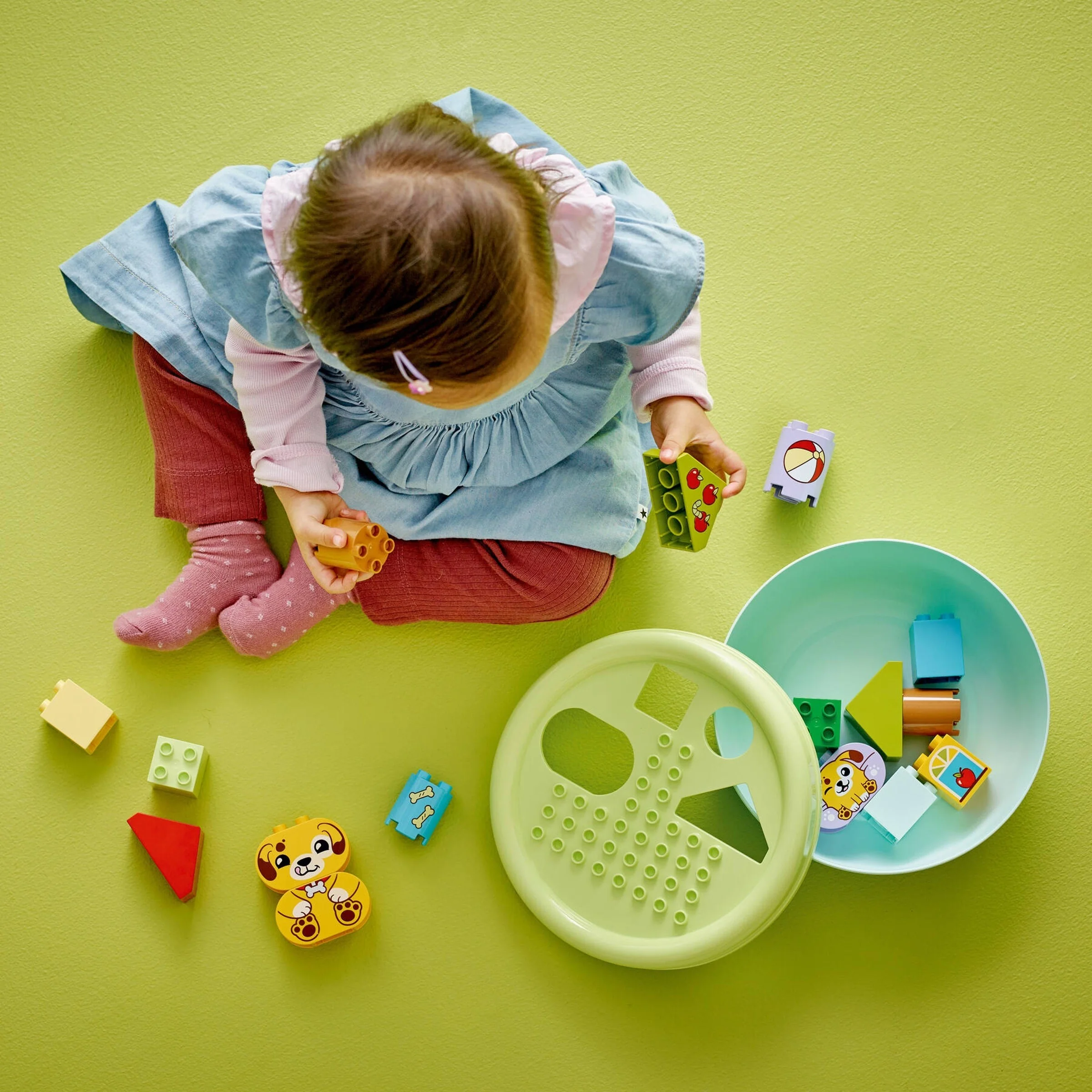 Formsortierer: Welpenhaus - Thumbnail 3