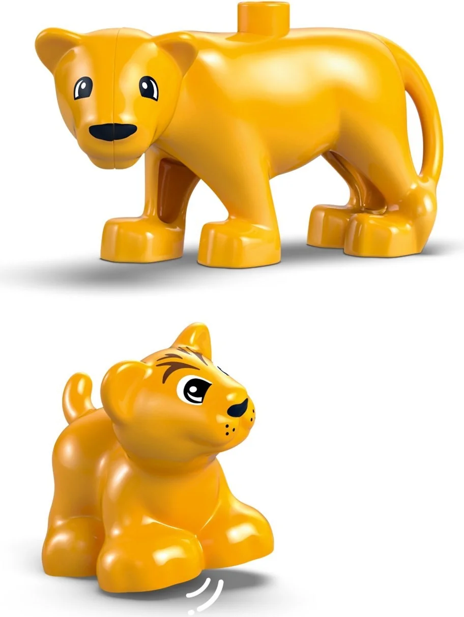 Wildtier-Familien: Pinguine und Löwen - Thumbnail 5