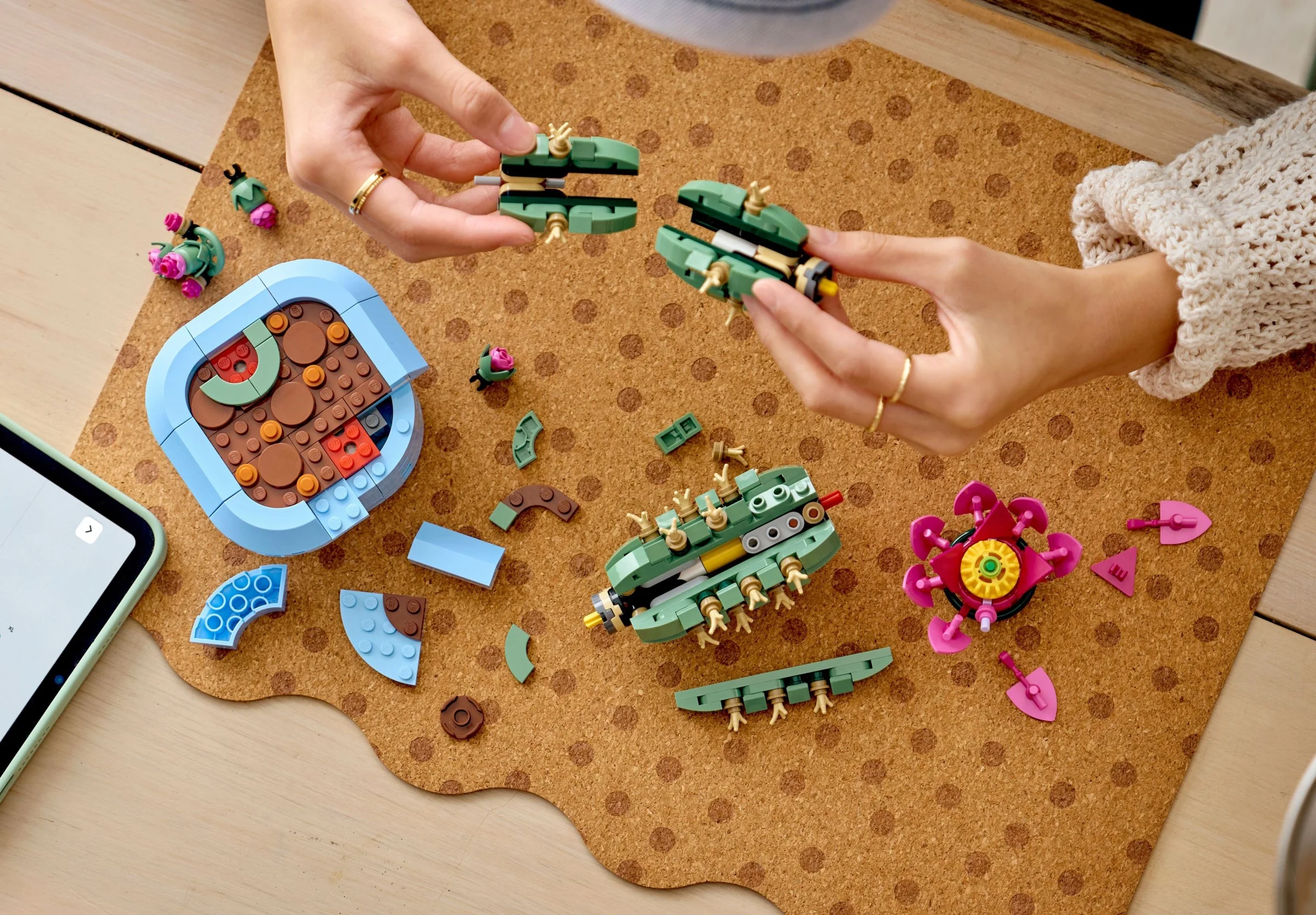 Blühender Kaktus - Thumbnail 4