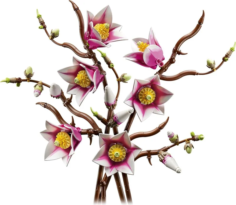 Magnolia Branches - Bild 1