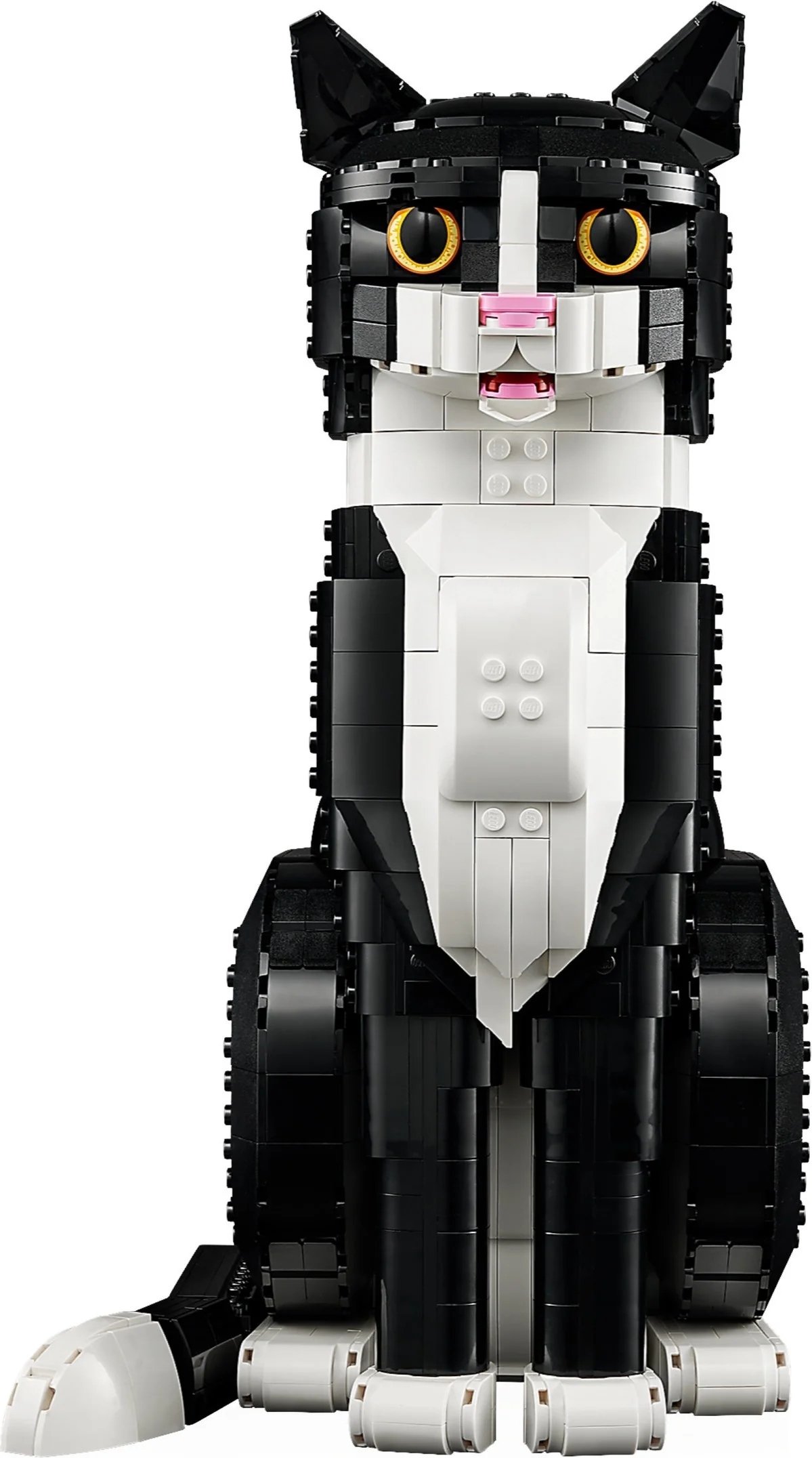 Schwarz-weiße Katze - Thumbnail 4