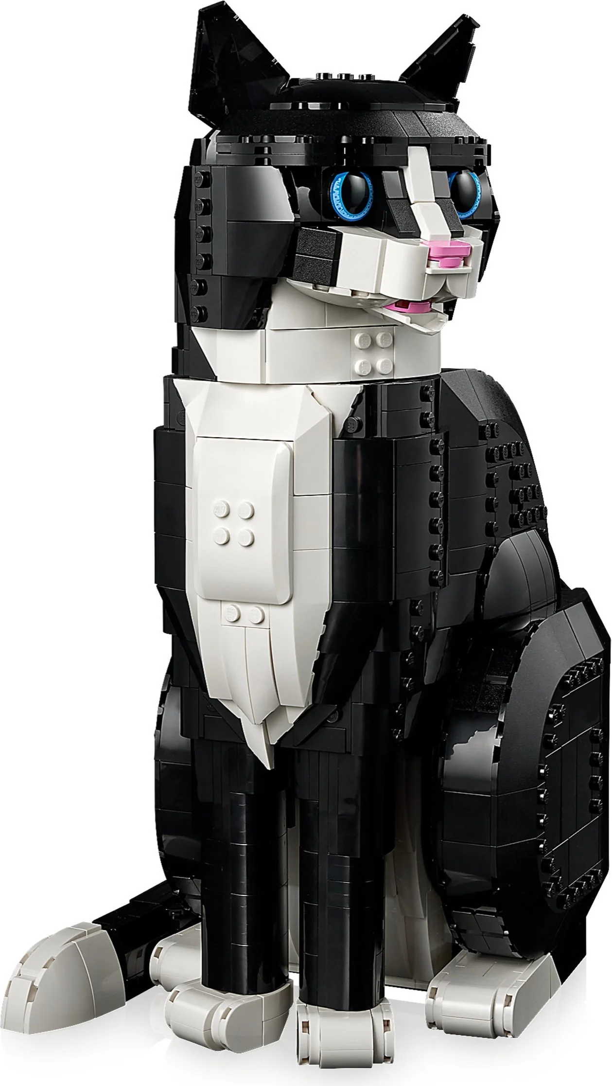 Schwarz-weiße Katze - Thumbnail 6