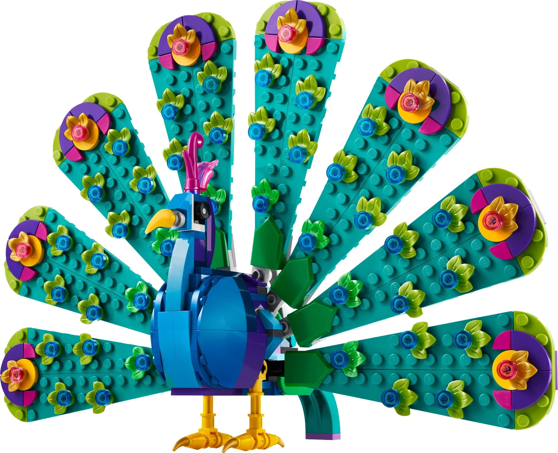 Exotic Peacock - Bild 1