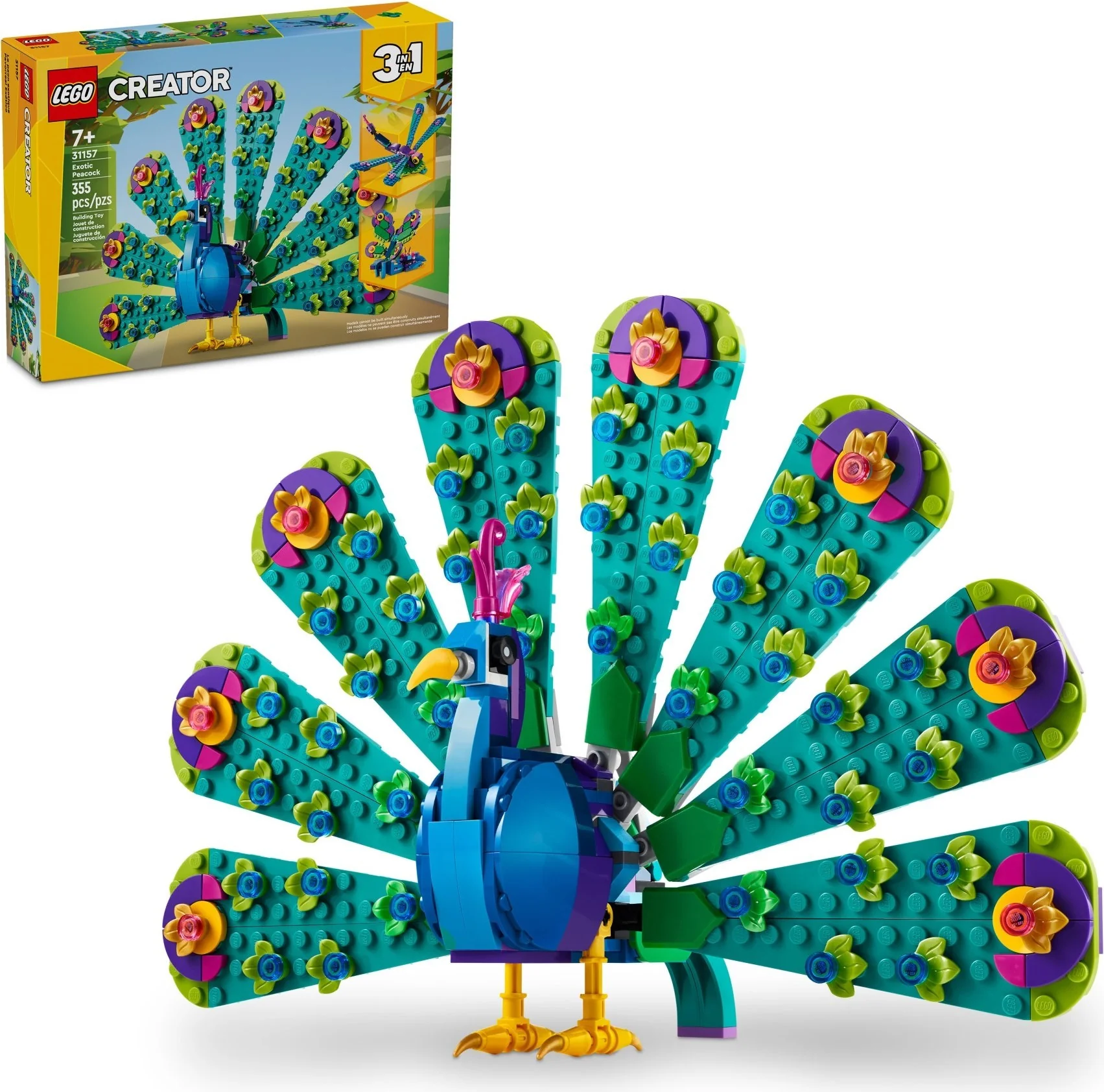 Exotic Peacock - Thumbnail 9