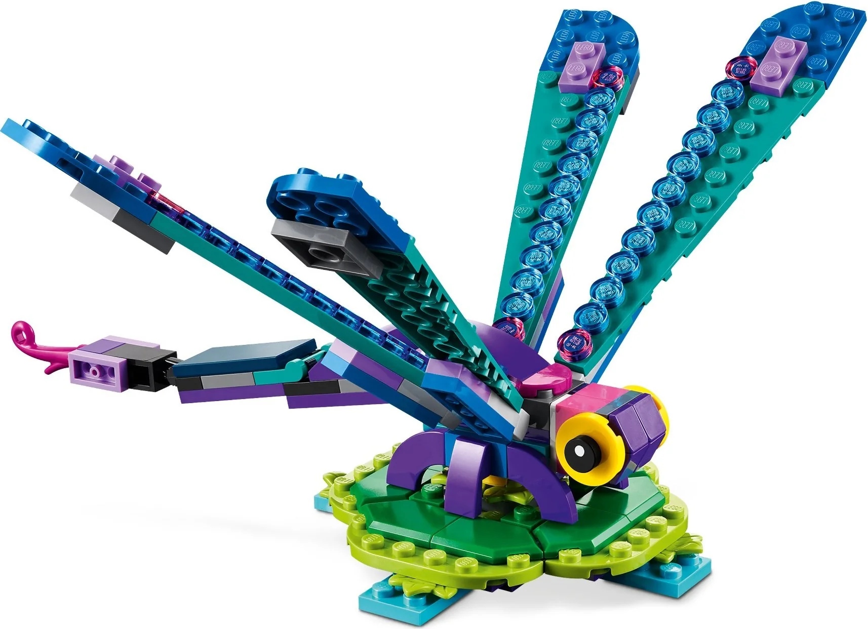Exotic Peacock - Thumbnail 10