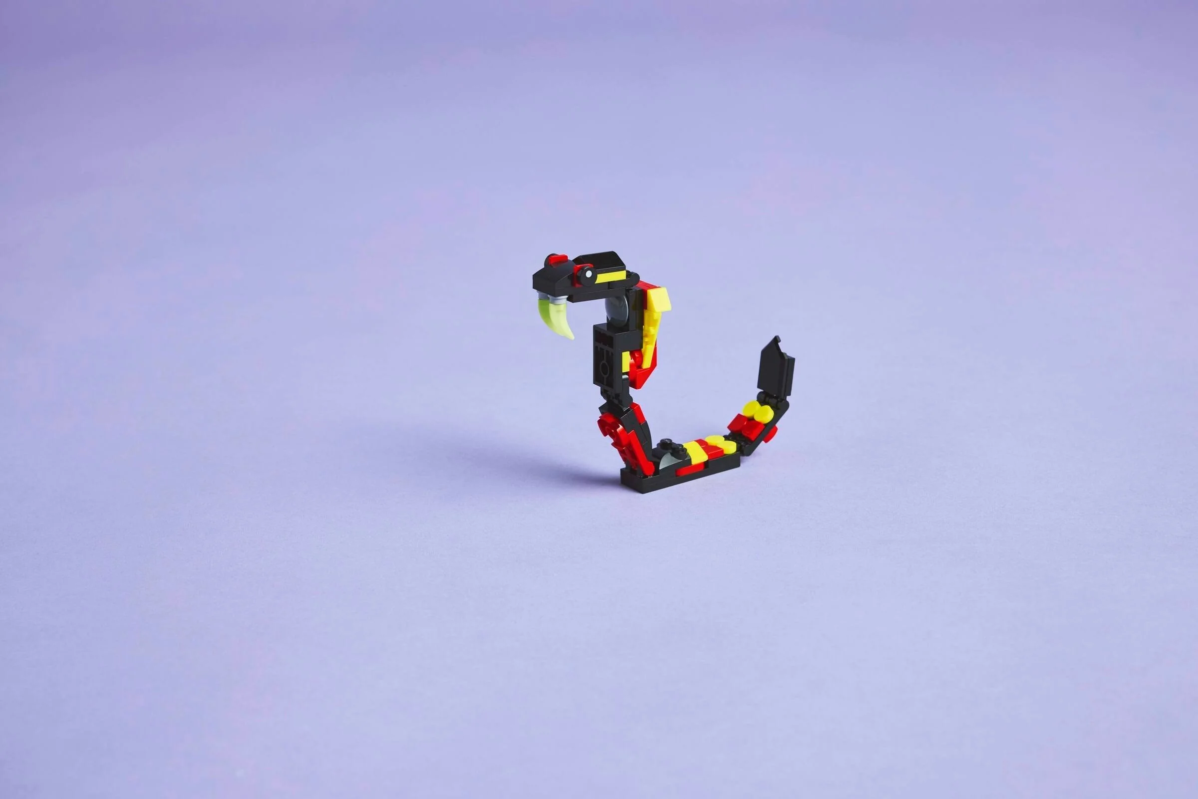 Wilde Tiere: Überraschungsspinne - Thumbnail 12