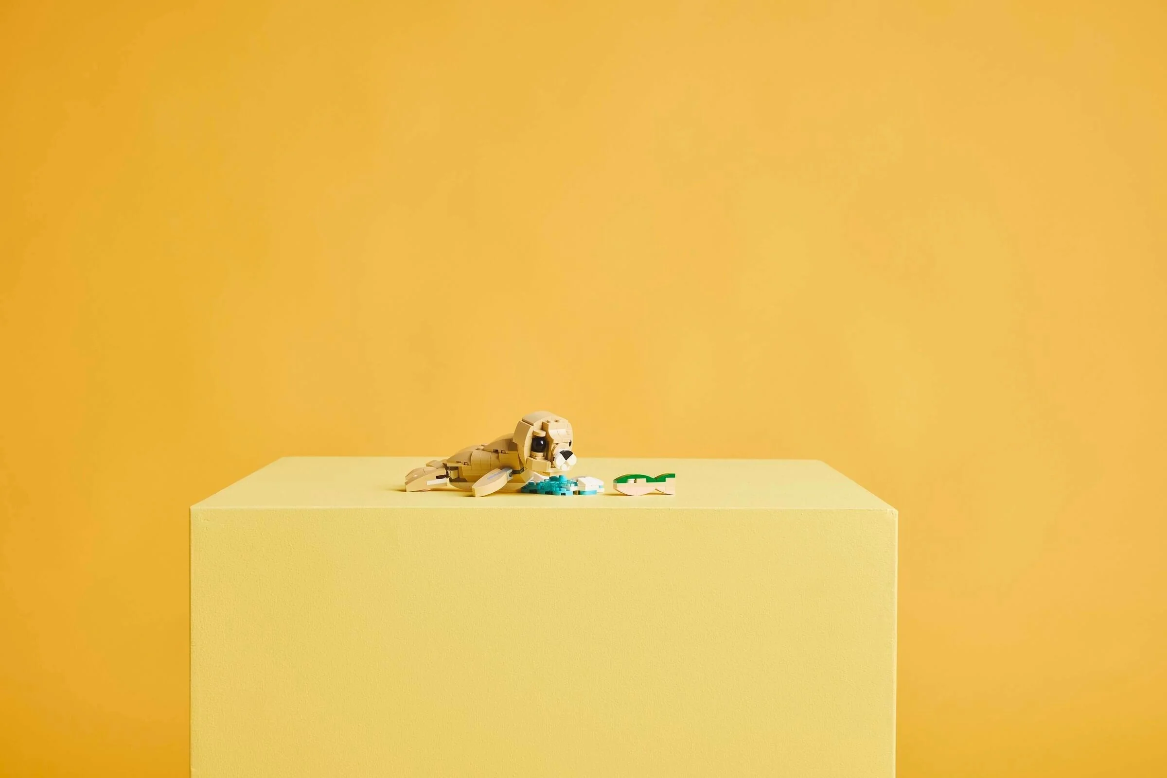 Cute Bunny - Thumbnail 10