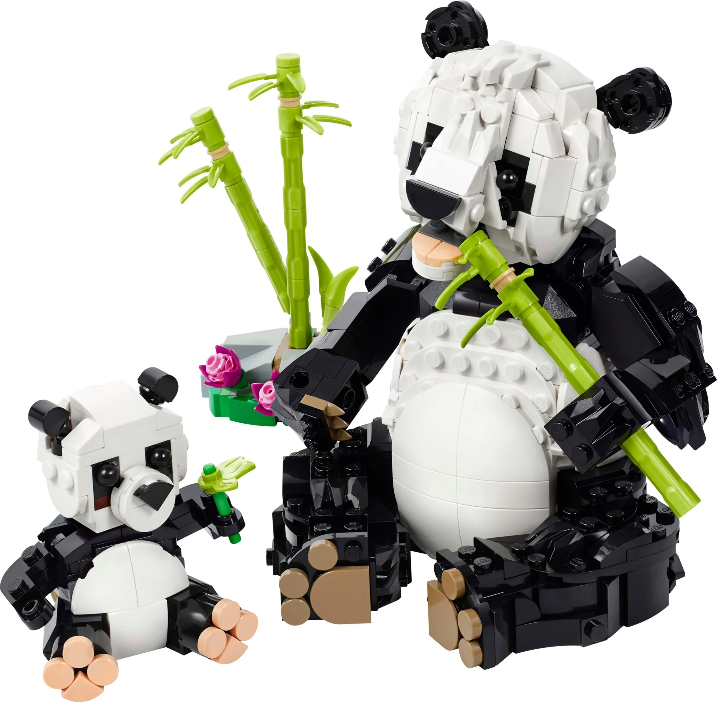 Wilde Tiere: Pandafamilie - Bild 1