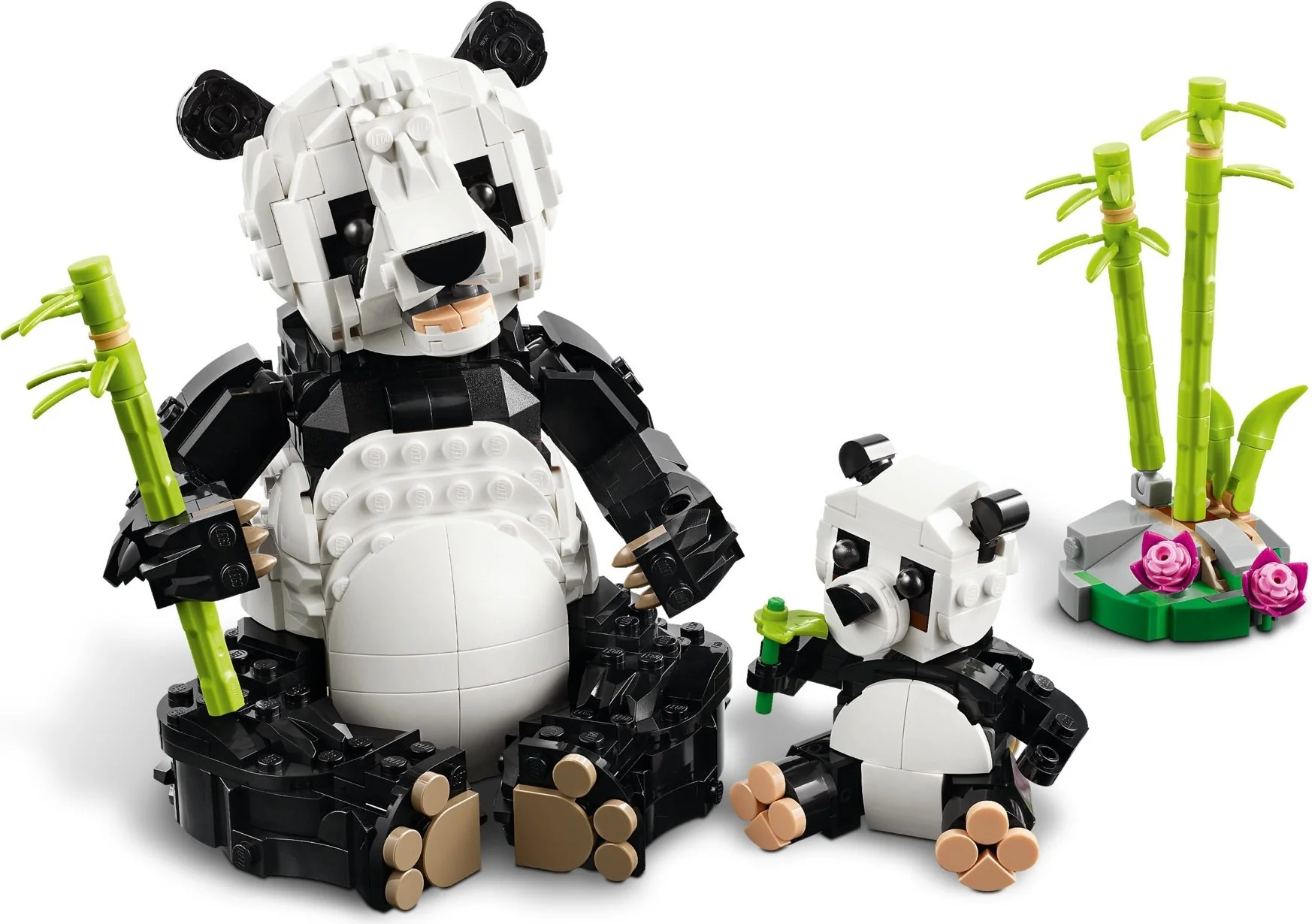 Wilde Tiere: Pandafamilie - Thumbnail 2