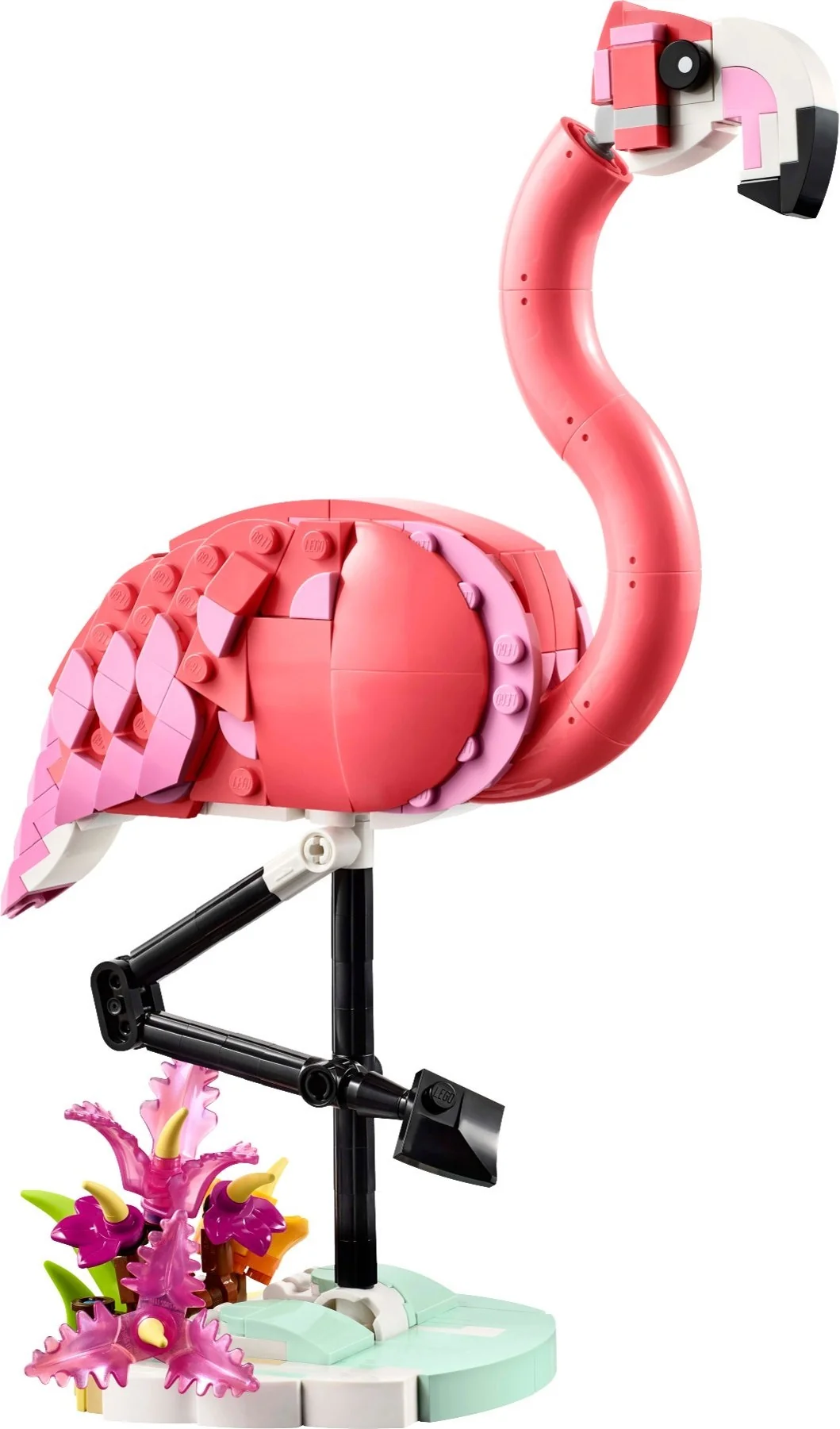 Wilde Tiere: Rosa Flamingo - Bild 1