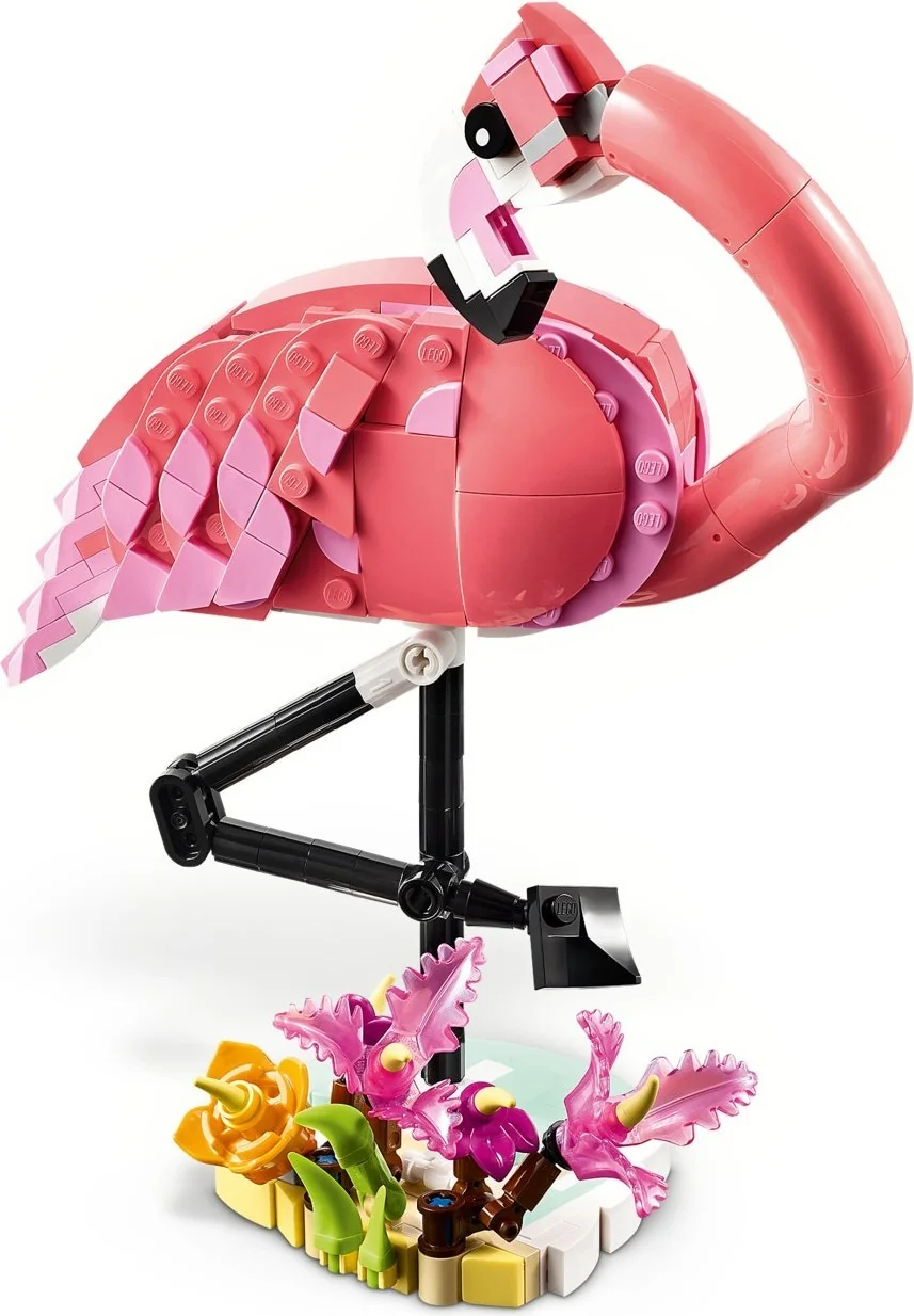 Wilde Tiere: Rosa Flamingo - Thumbnail 3