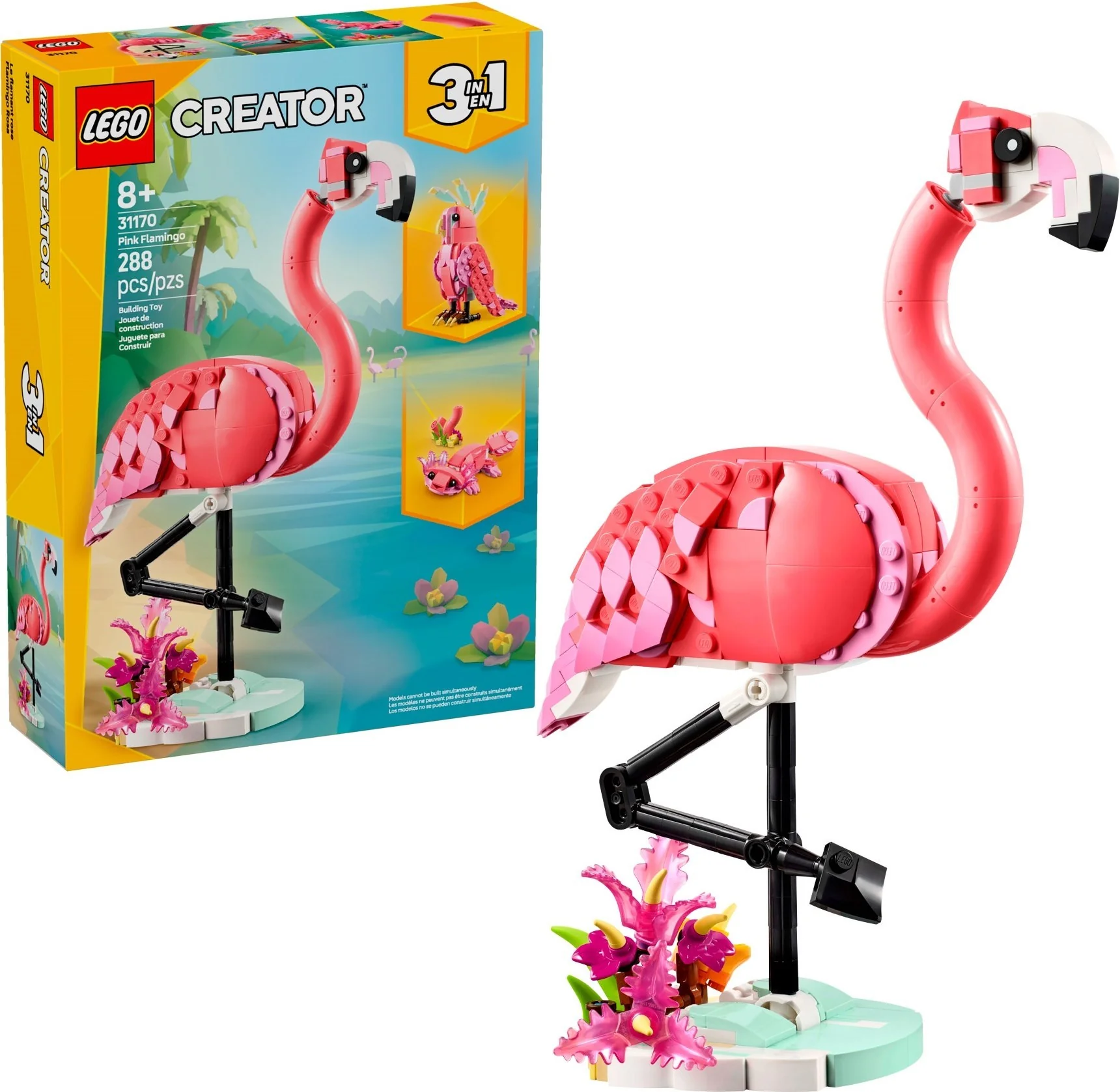 Wilde Tiere: Rosa Flamingo - Thumbnail 4