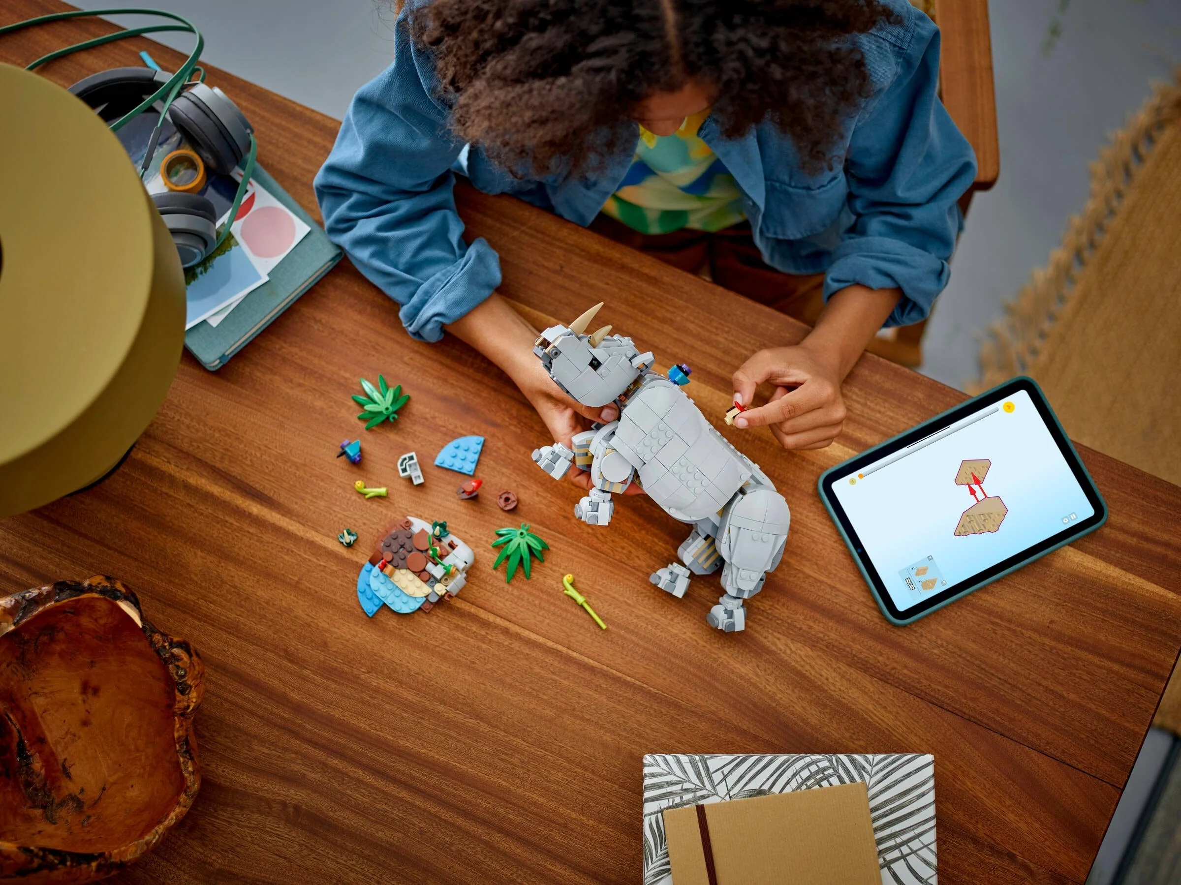 Wilde Tiere: Prächtiges Nashorn mit Vögeln - Thumbnail 4