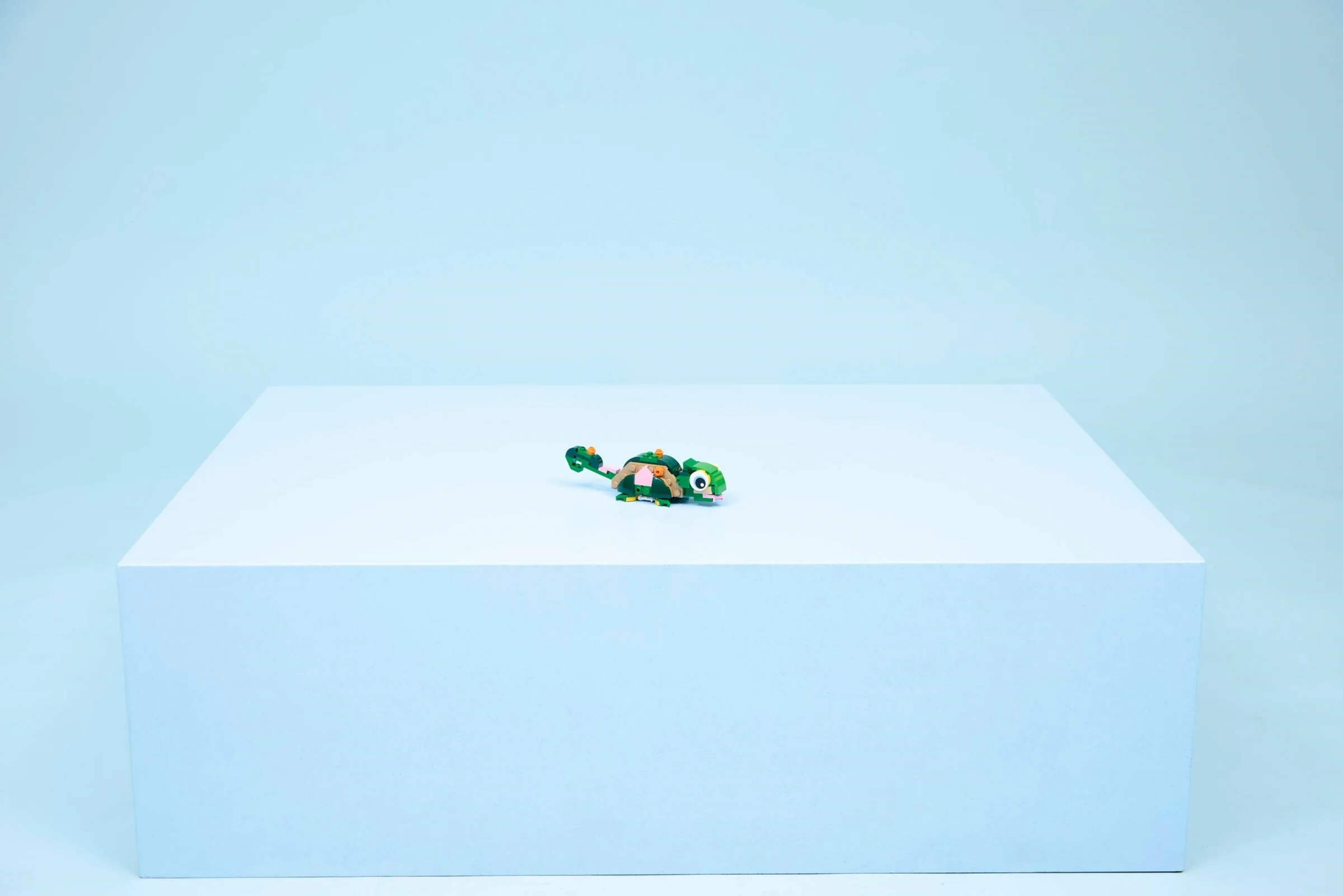 Schildkröte mit Seerose - Thumbnail 4