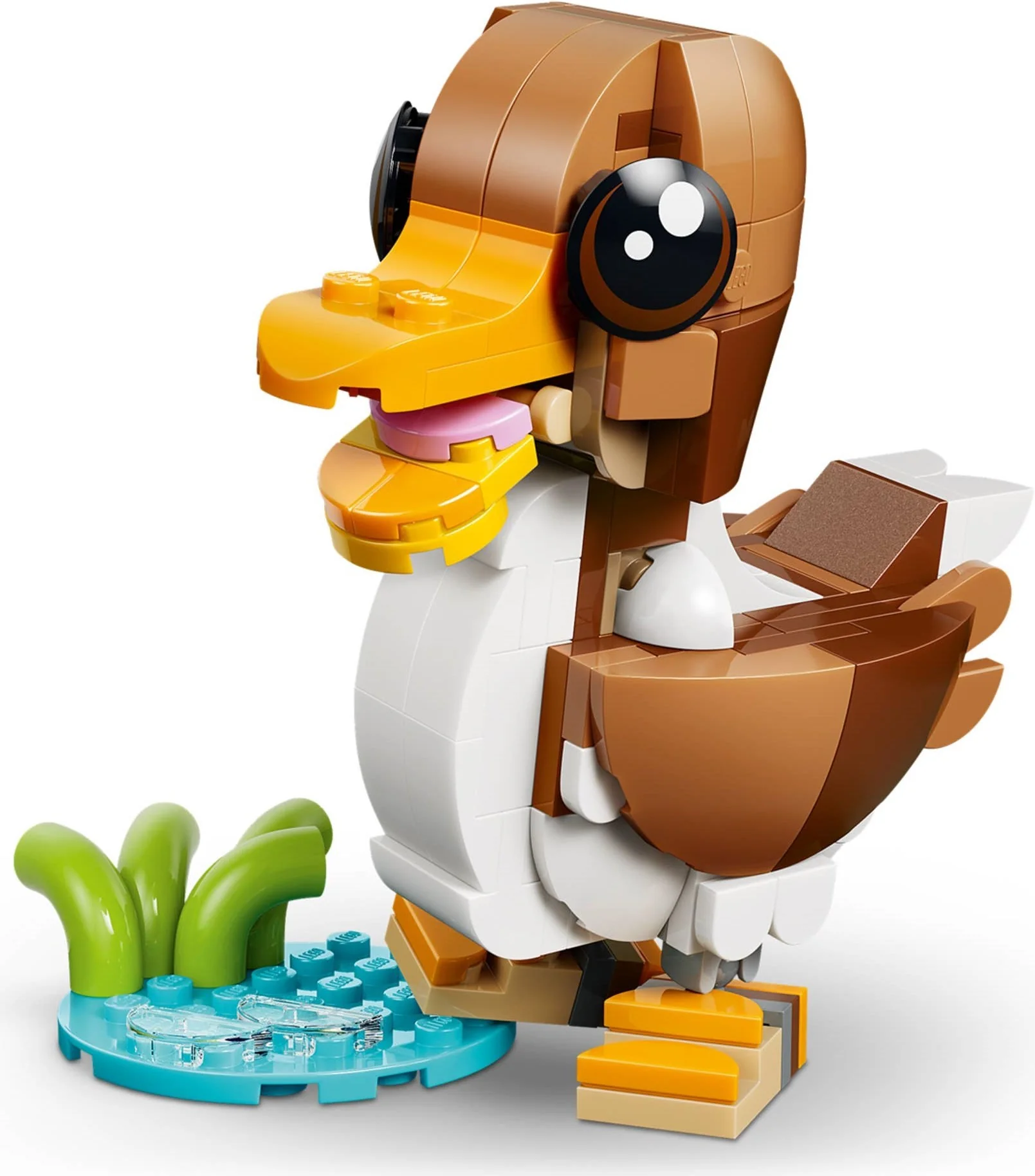 Niedliche Tiere: - Thumbnail 11