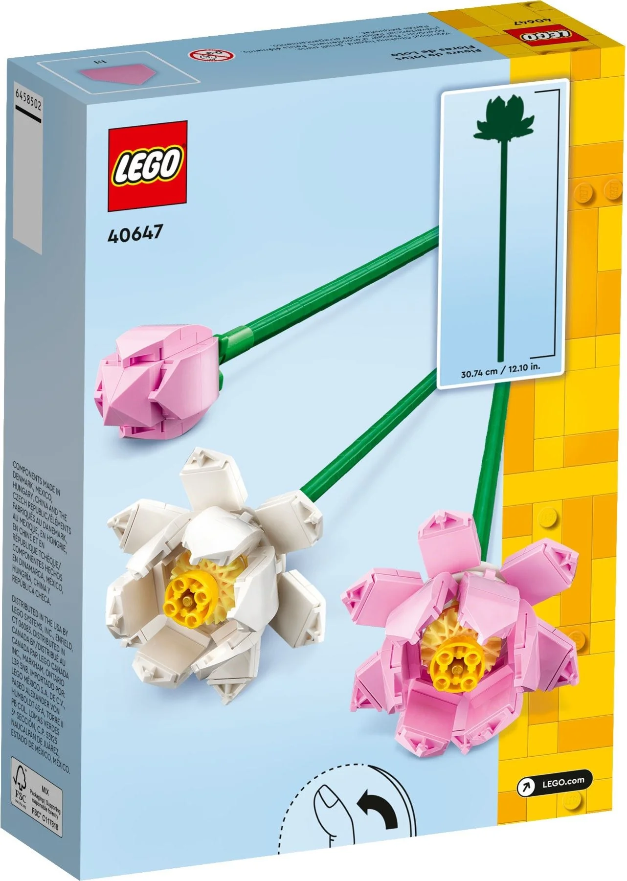 Lotusblumen - Thumbnail 3