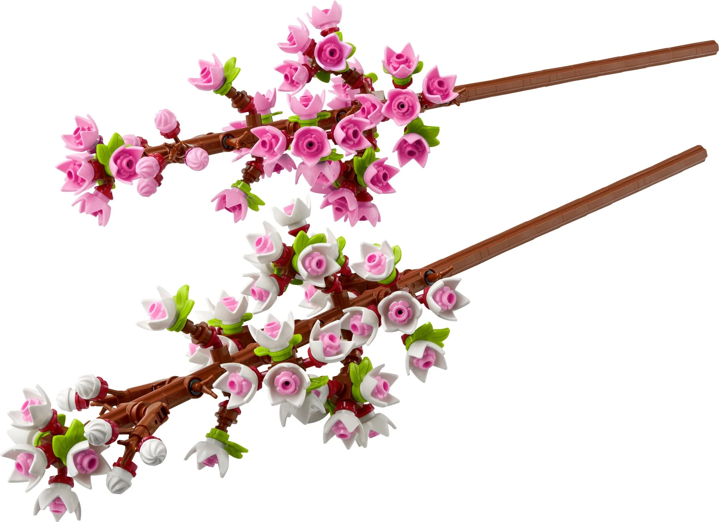 Kirschblüten - Bild 1