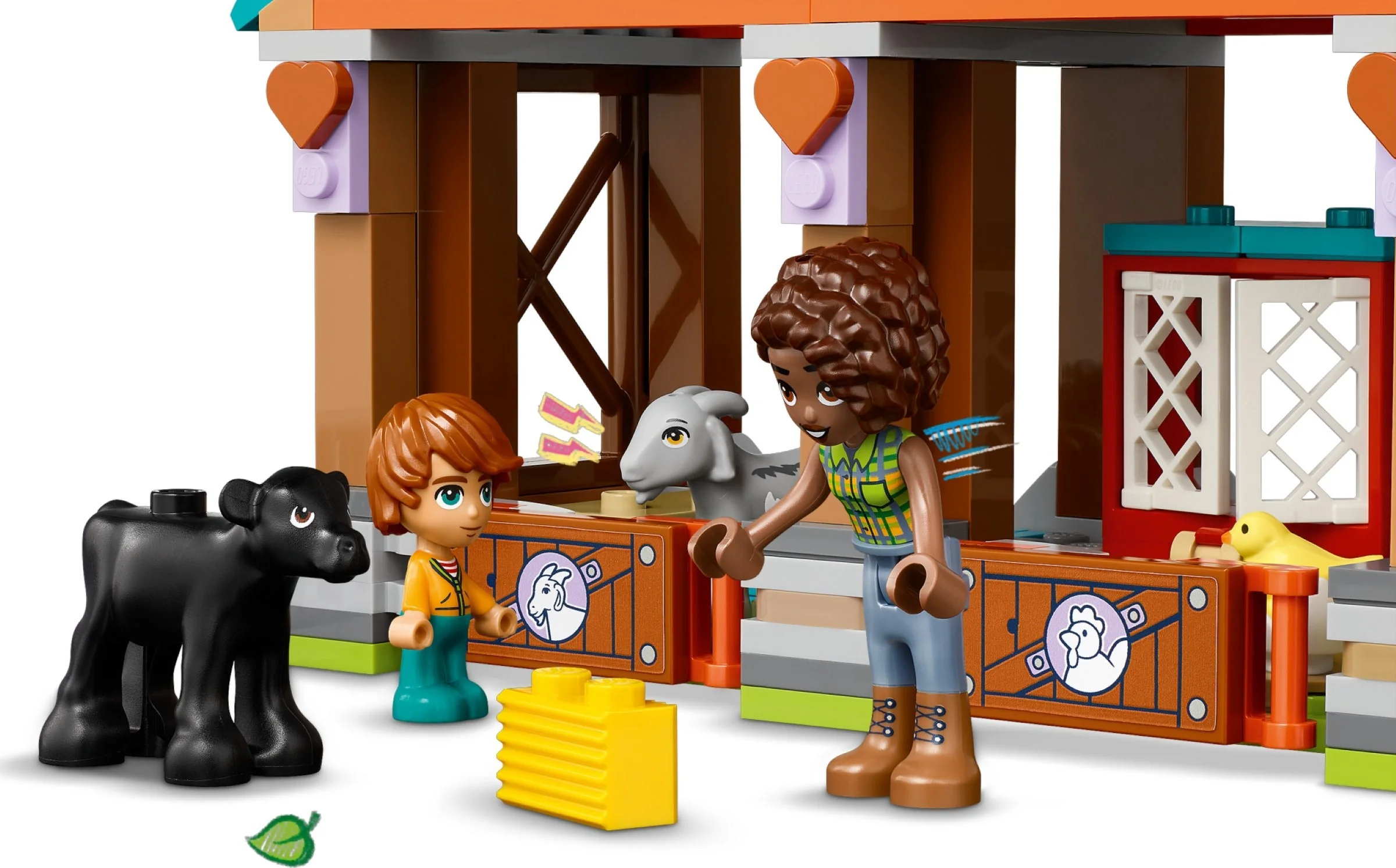 Farm Animal Sanctuary - Thumbnail 8