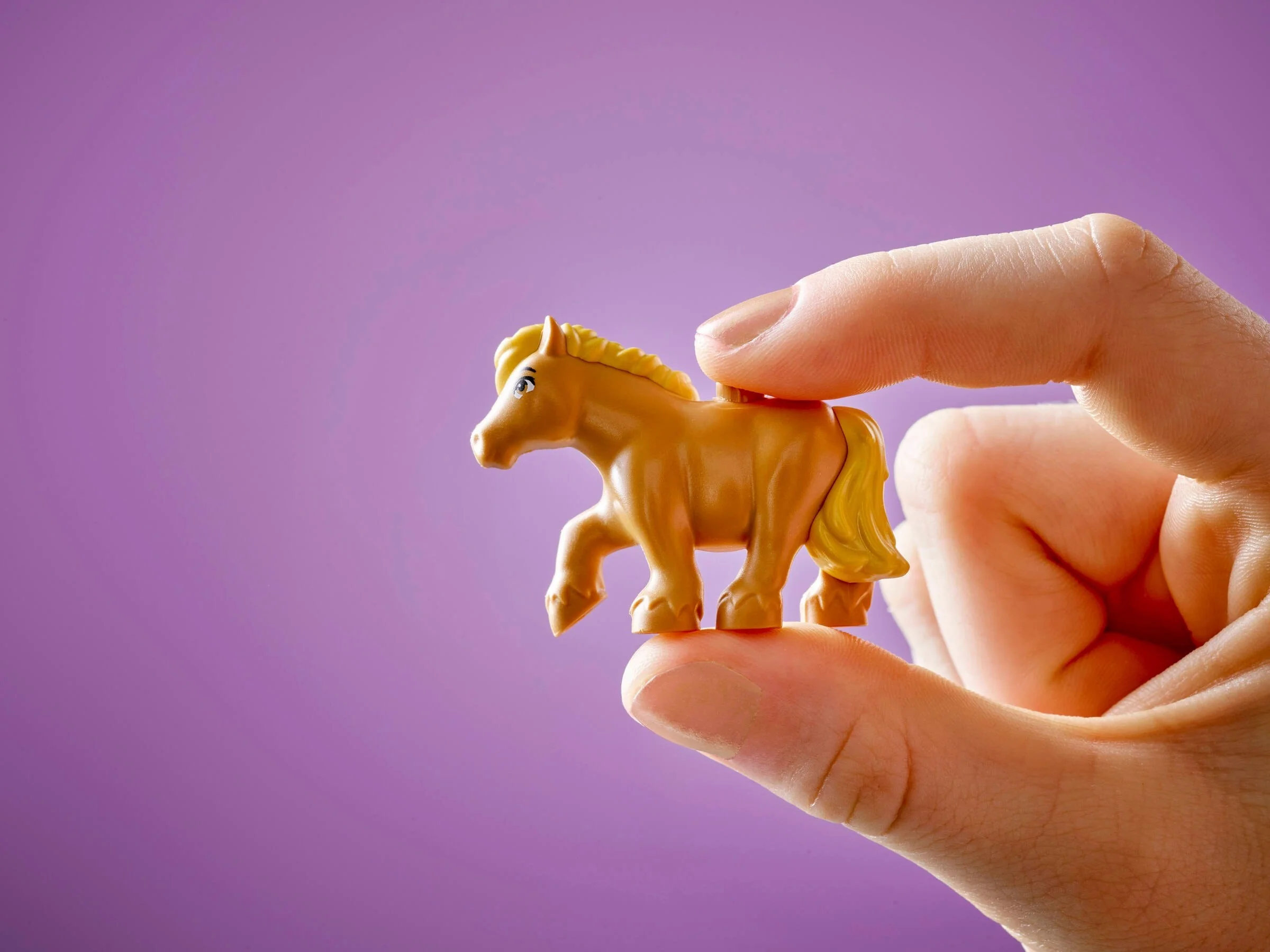 Ponyhof & Stall - Thumbnail 10