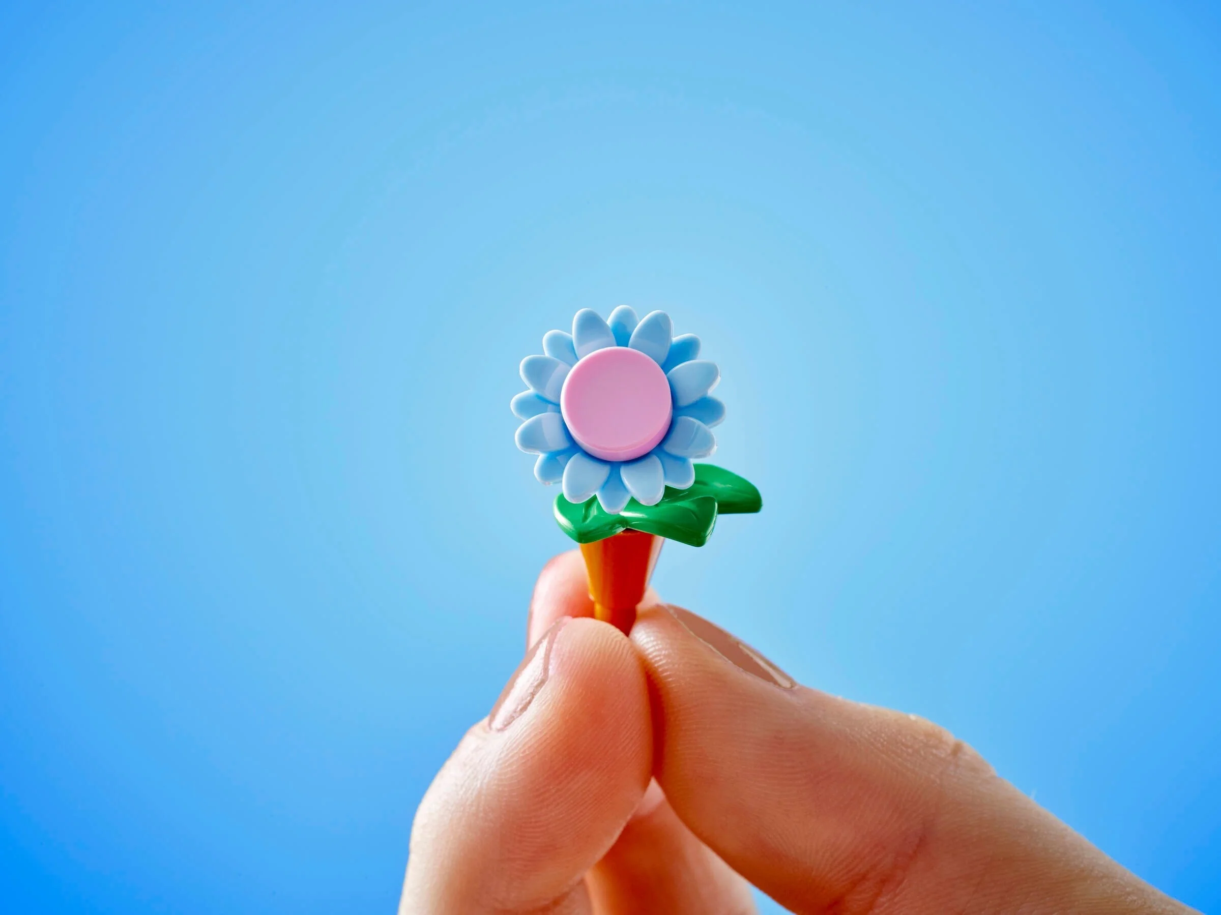 Pflanzencafé und Blumenkiosk - Thumbnail 2