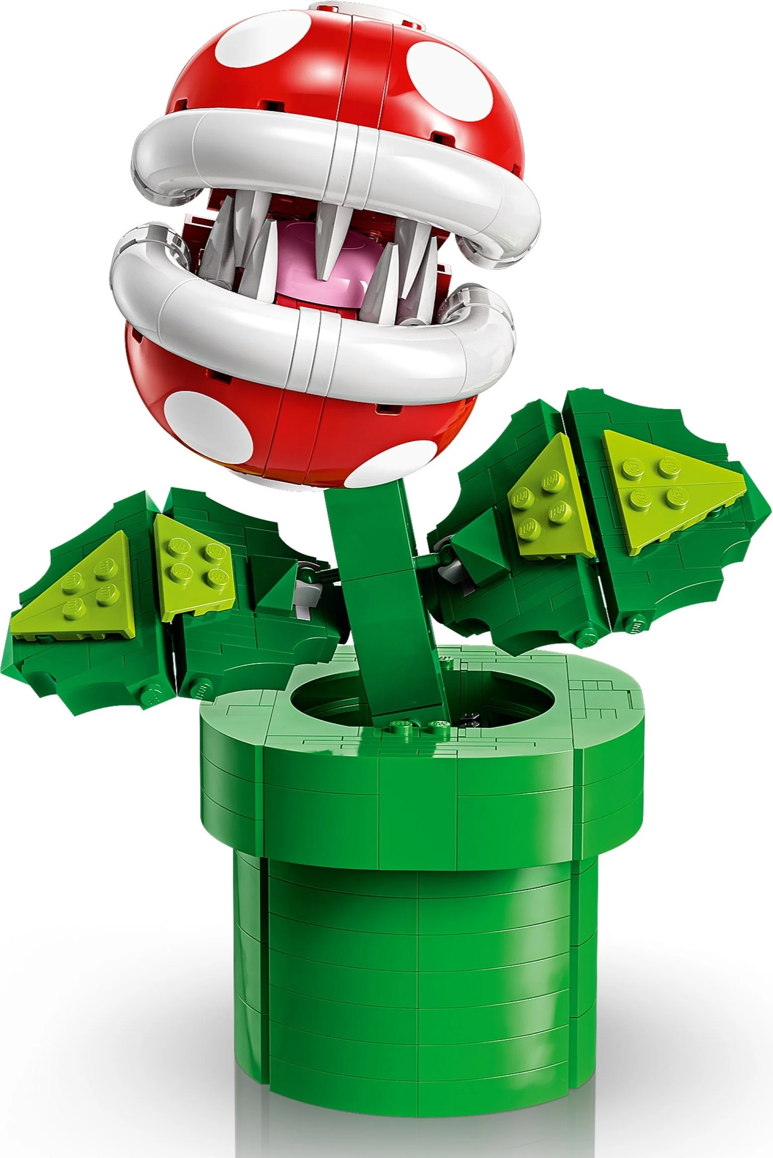 Piranha-Pflanze - Thumbnail 7