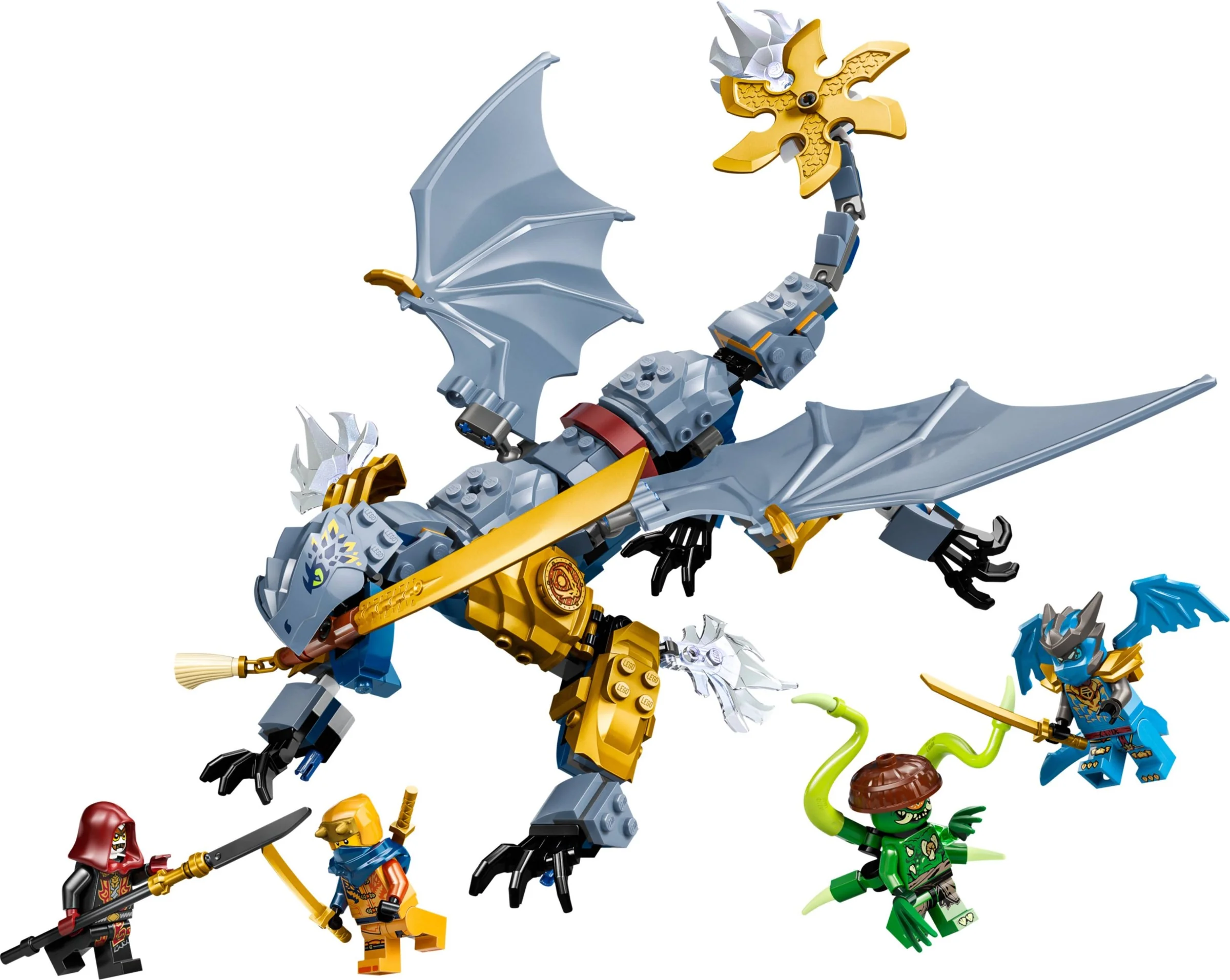 Ninja Dragon Riyu's Battle - Bild 1
